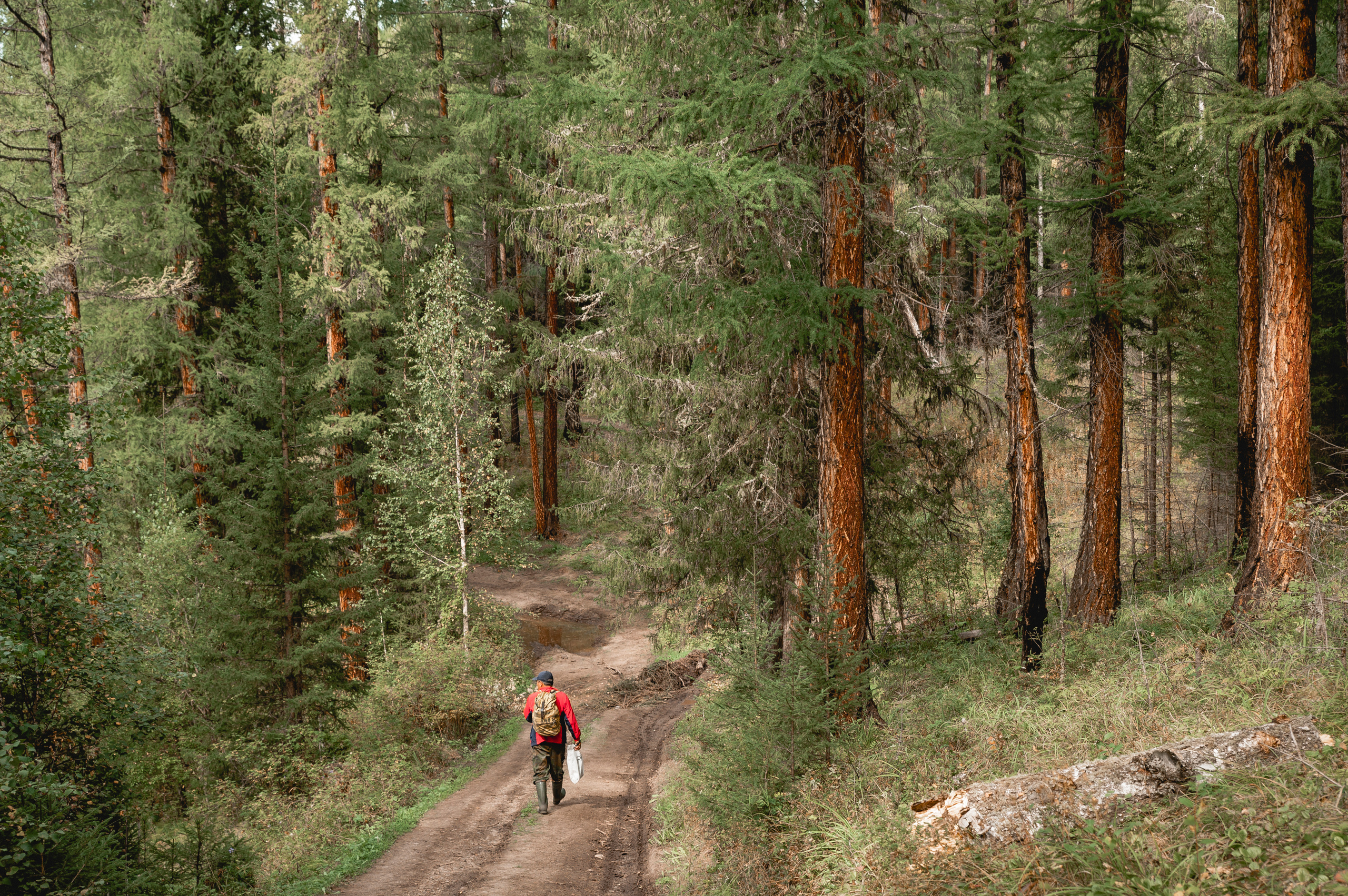 Отдых в Азасе. Свадебный фотограф в Кызыле Ай-Херел Ондар
