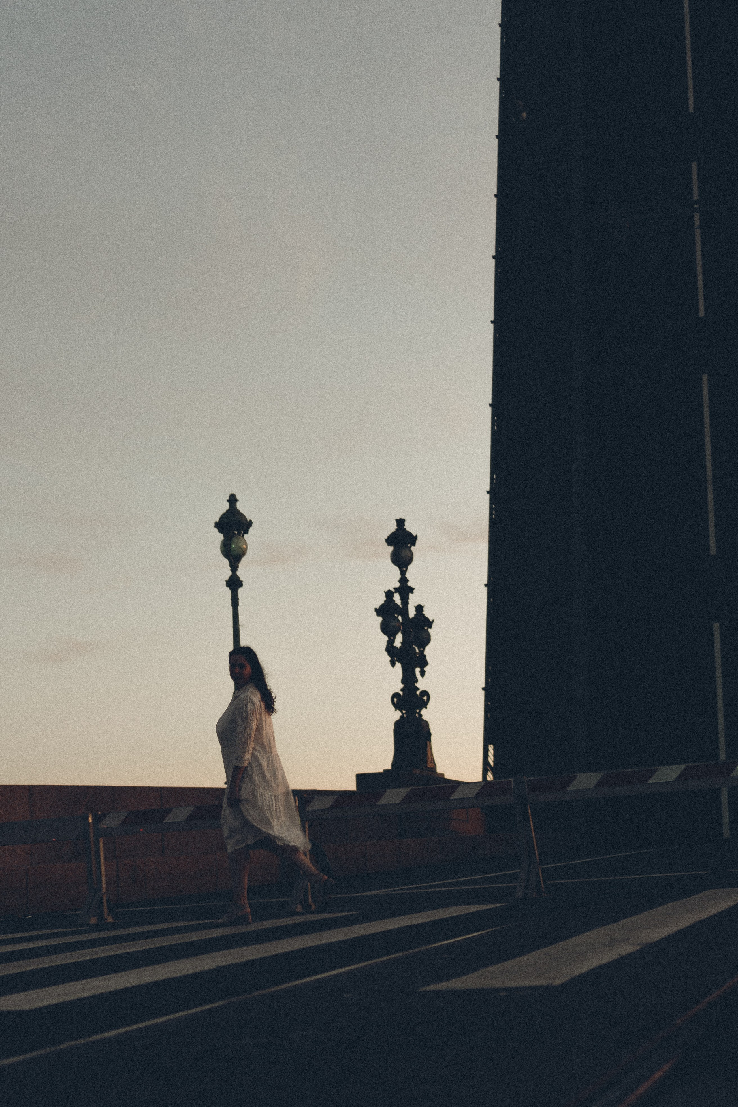 РАССВЕТ С РАЗВОДНЫМИ МОСТАМИ. Профессиональный фотограф, Санкт-Петербург — Виктория Богомолова