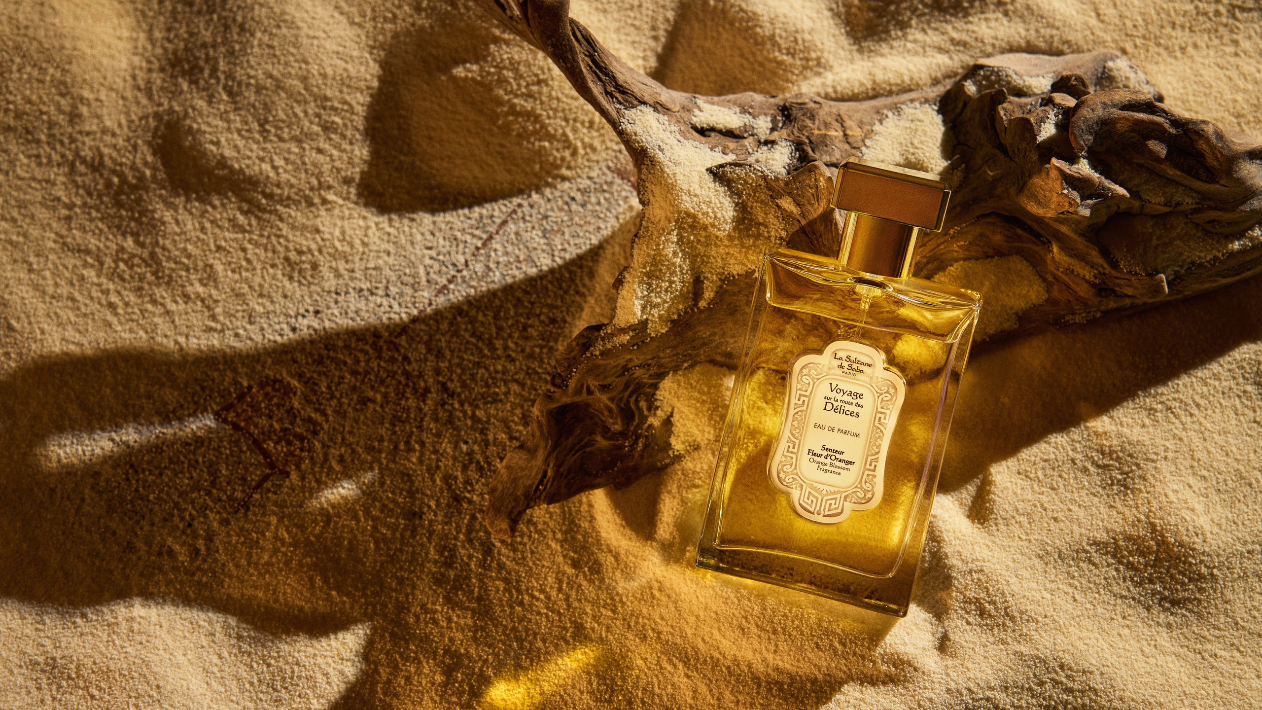 Предметная съемка. Фотограф и видеограф Андрей Яшин — фуд, предметная и портретная съёмка в современном стиле