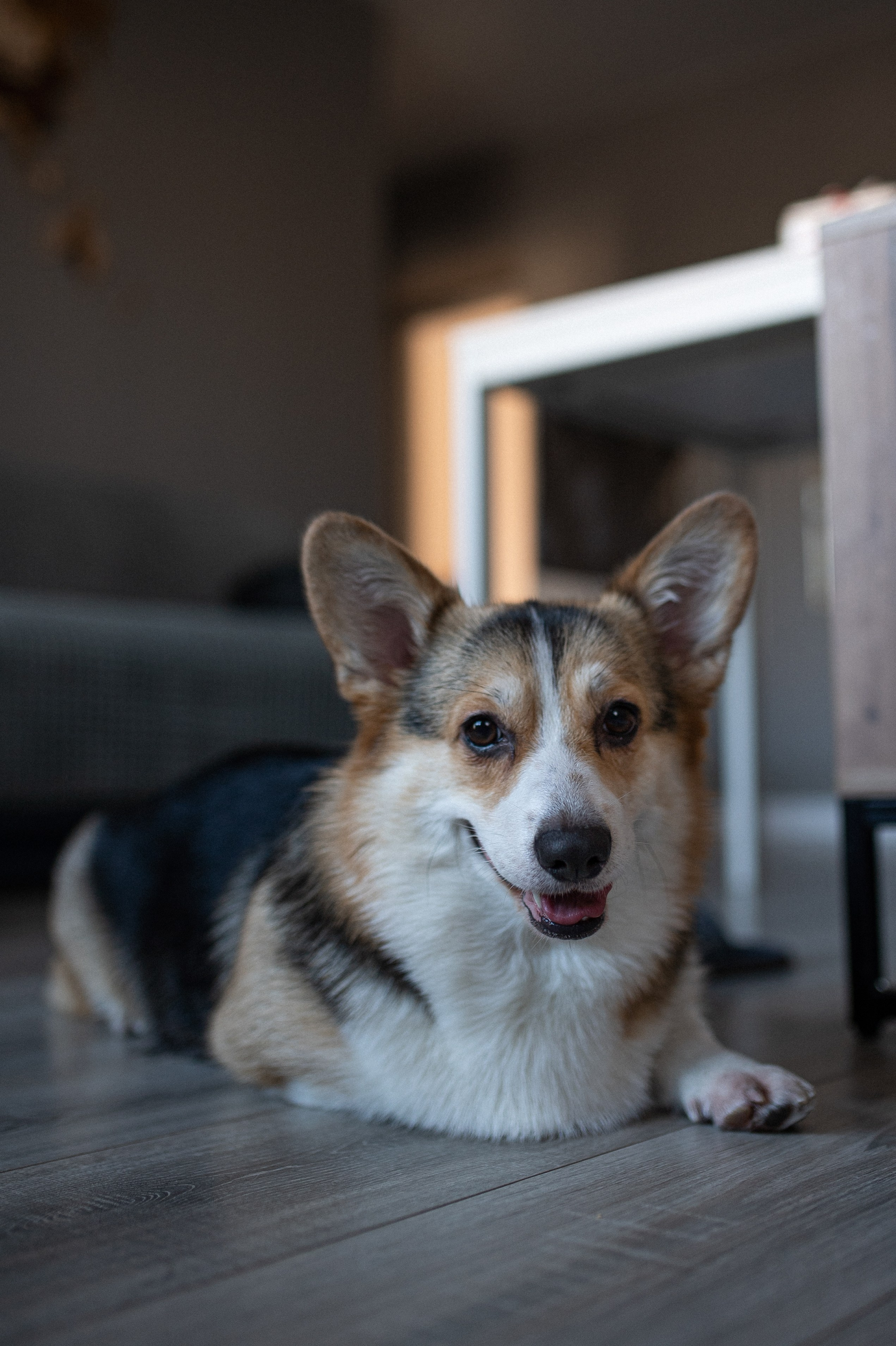 Ирина, Саша, Ваня, Оливия. Www.ostermiller.ru