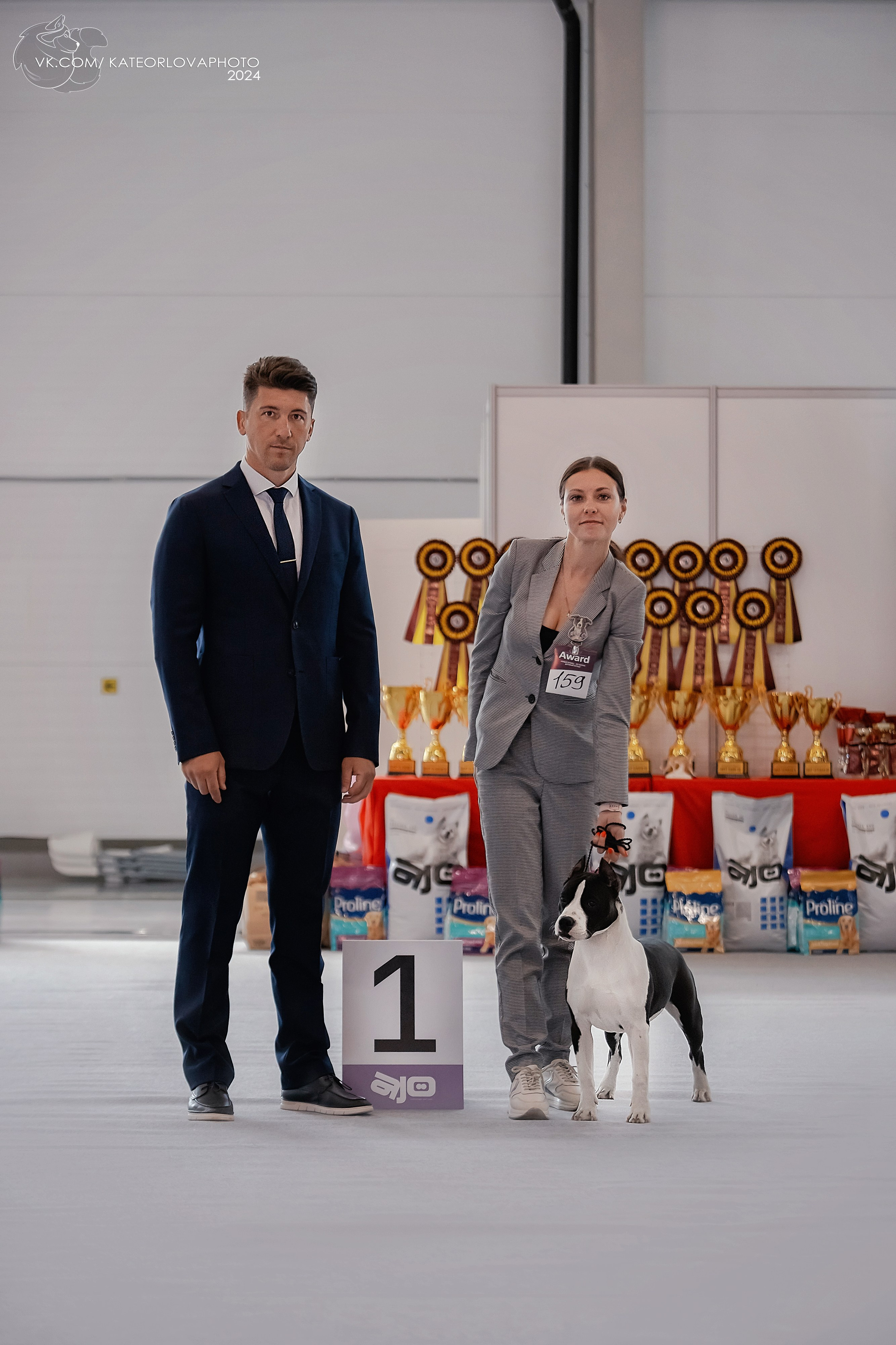 Фотосъемка собак, щенков, на выставках, фотограф анималист Россия воронеж. Питомник собак Акита, Хаски, Корги