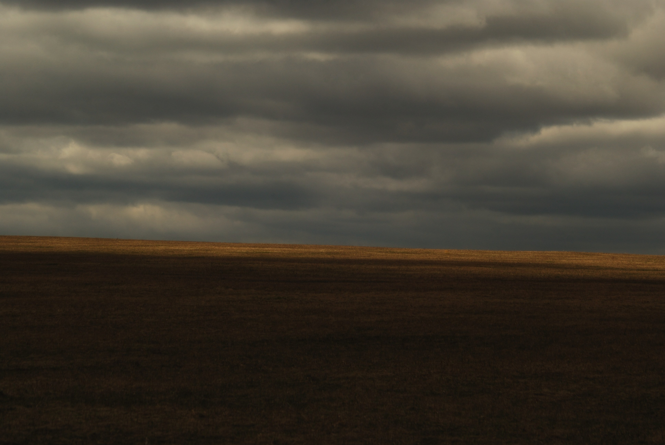 Этот прекрасный мир