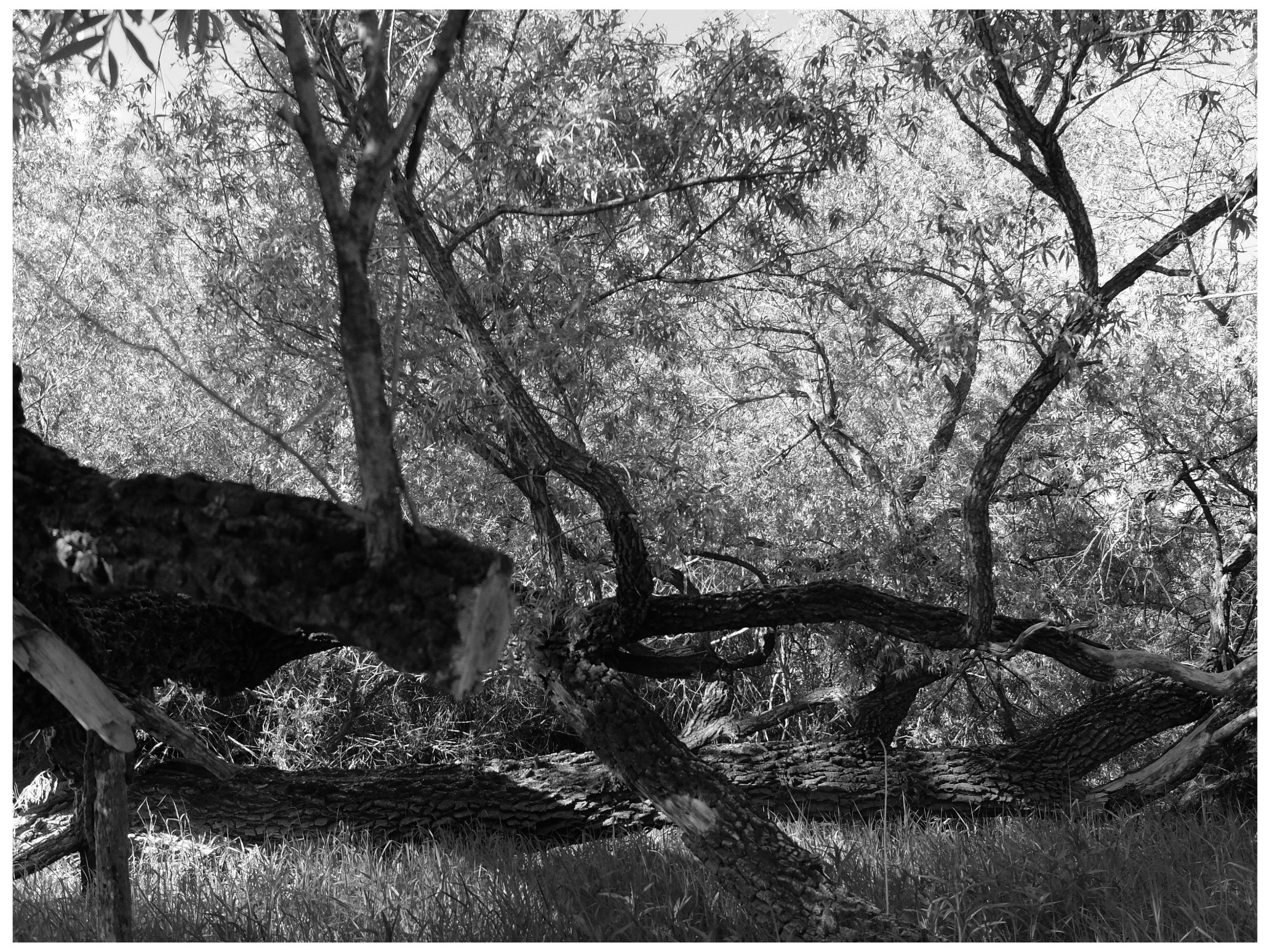 Промежуточные моменты (2022)