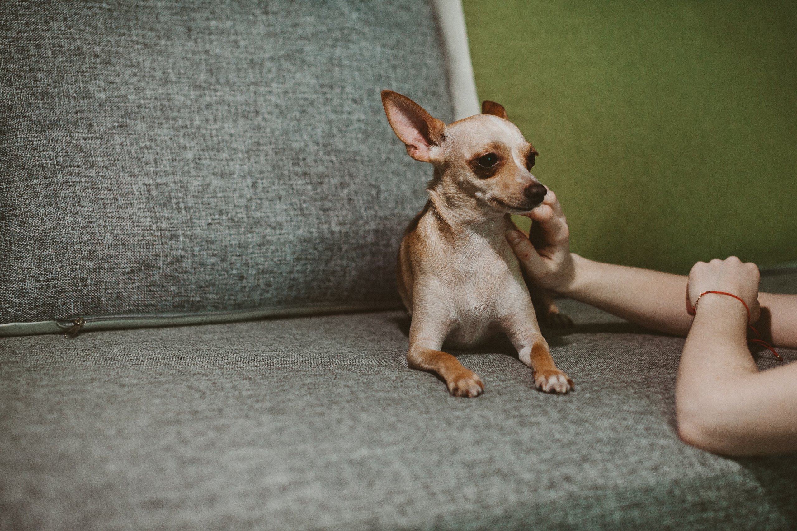 🤍. Екатерина Королева. Фотограф. Хабаровск