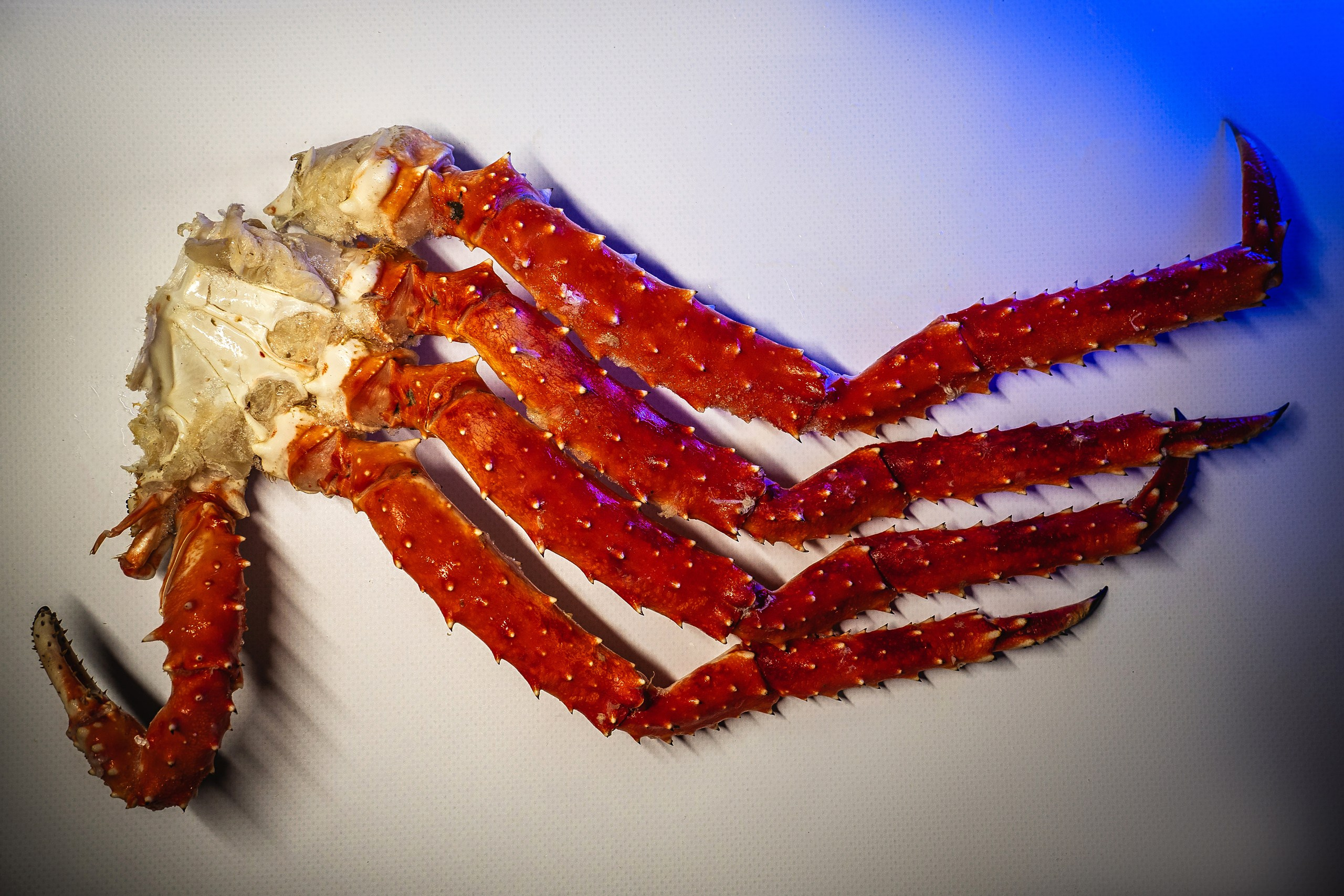 Food. Профессиональный фотограф в Волгодонске Алексей Рубашевский