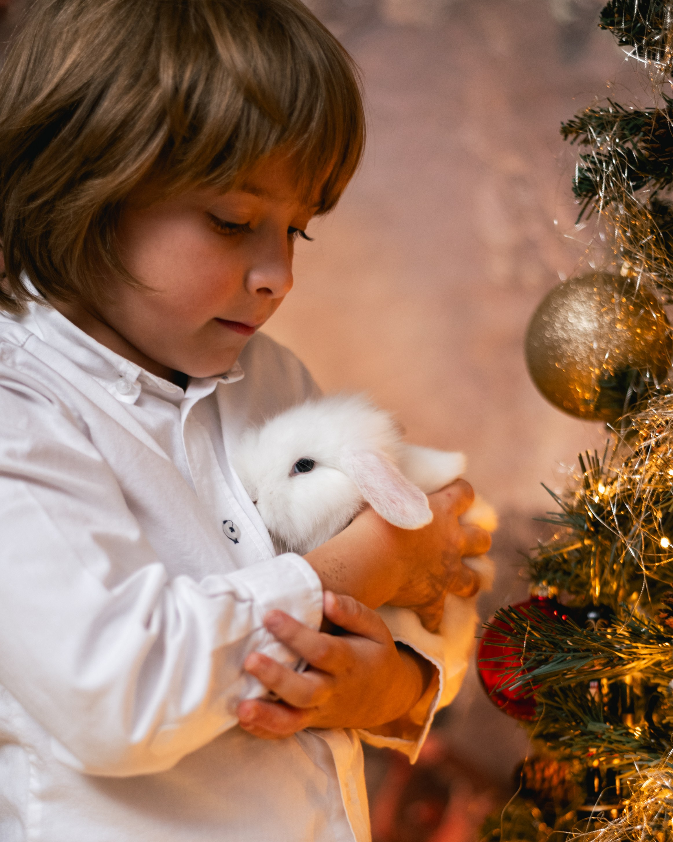 CHRISTMAS FOR VIKTOR AND ALEKSANDR. Anastasiia Antoniuk portrait, family and couple photographer, Portugal