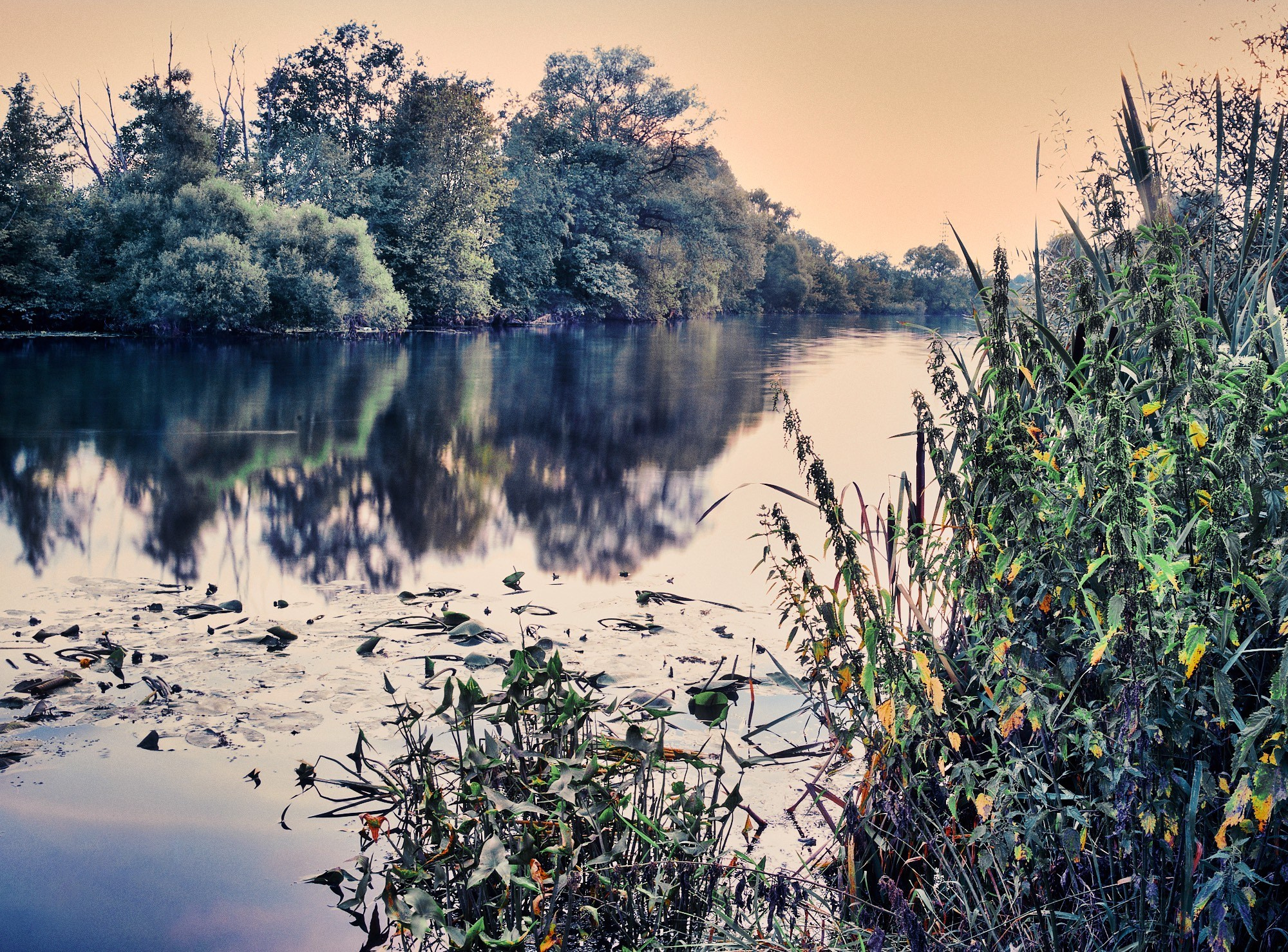 Nature. Фотограф Арсений Королев