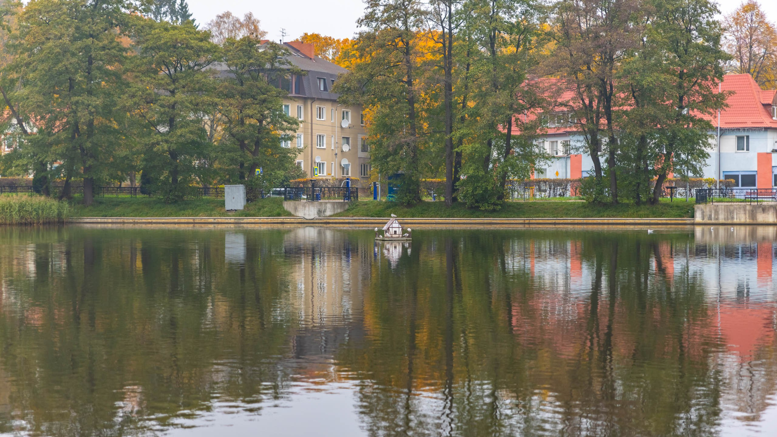 2024 10 Зеленоградск, Светлогорск, Куршская коса. Фотографии