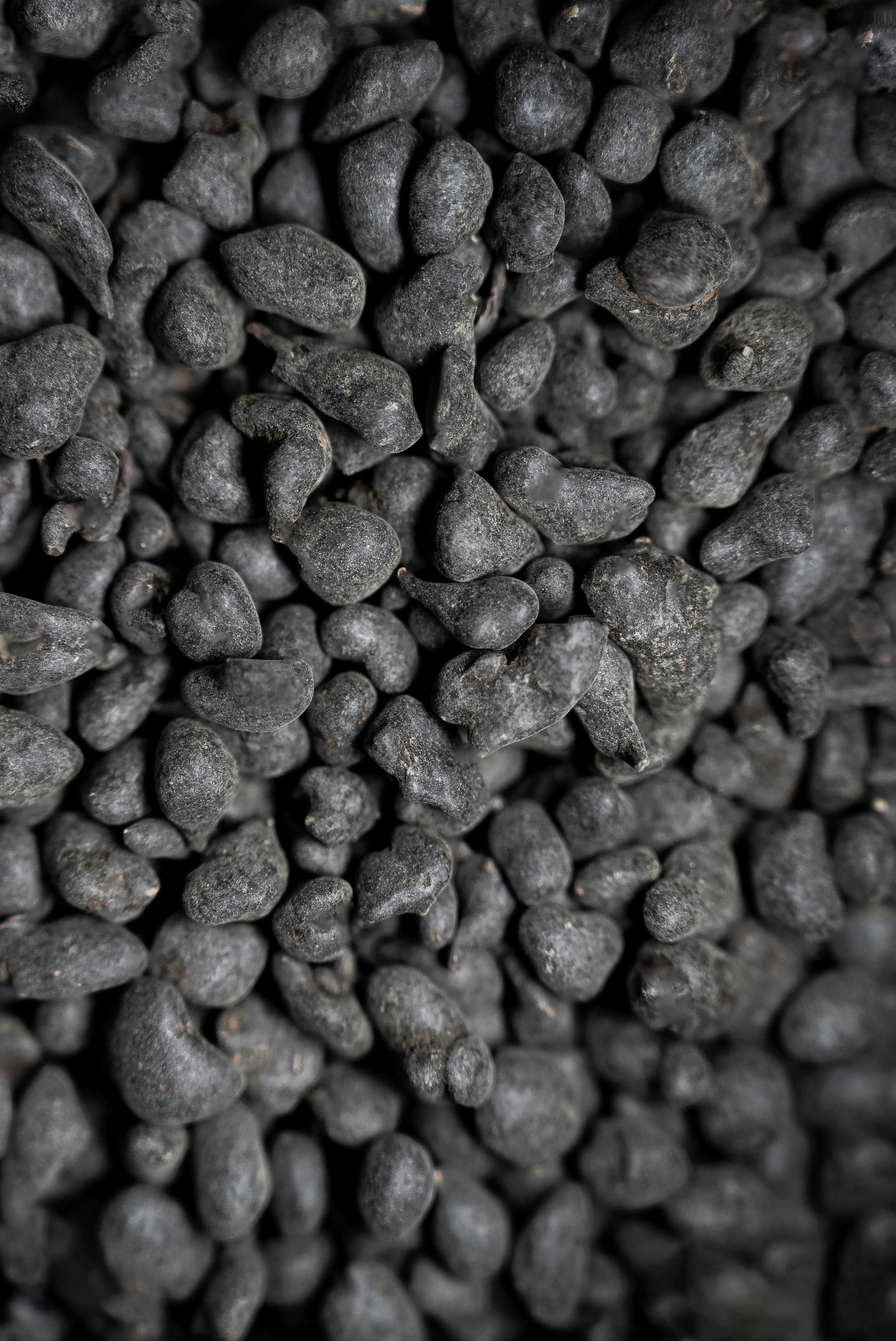 Айрочай. Фотограф Пермь | Чернушка | Копытов Игорь