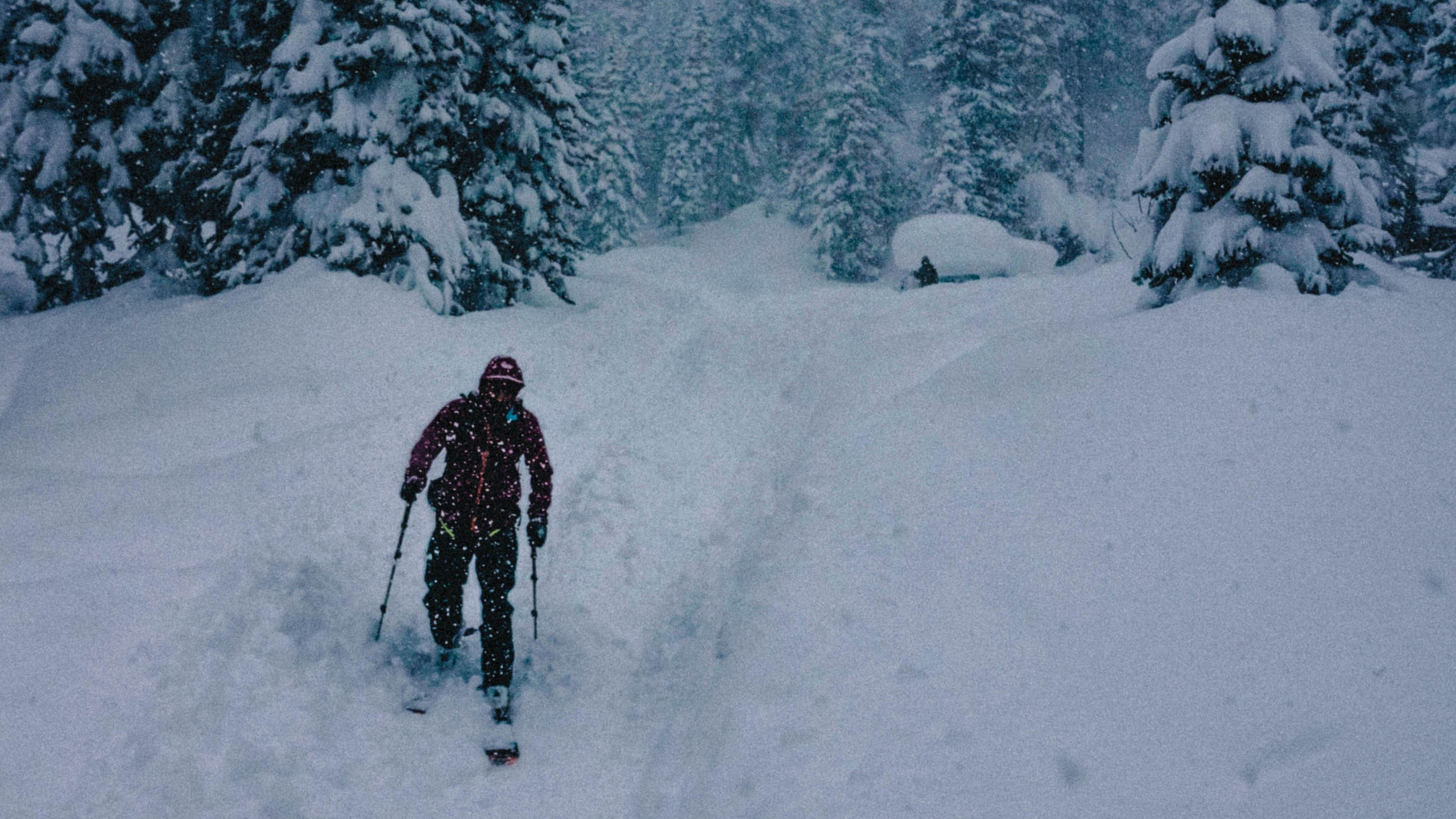 Горнолыжник идёт по заснеженным горам Мамай в Сибири. Кинематографичный кадр