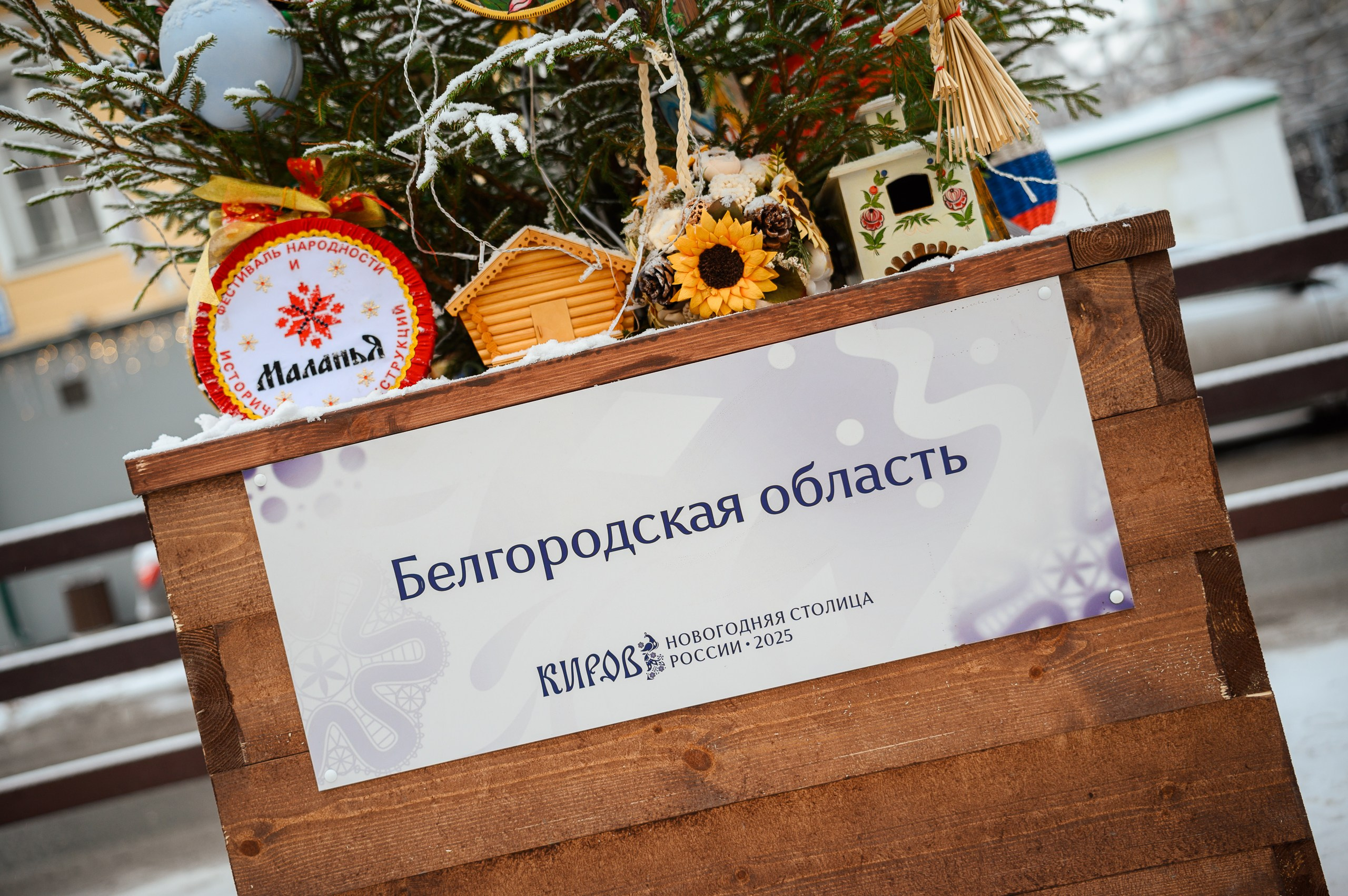 Новогодние волонтеры | Открытие Новогодней столицы Кирова 2025. Репортажный фотограф в Кирове Александр Лутошкин