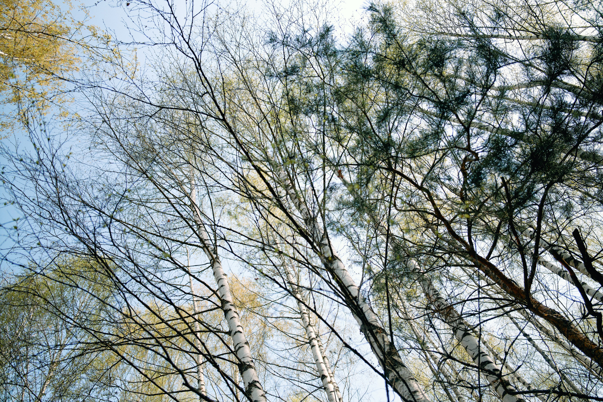 Бутик-отель Поле летом. Профессиональный Фотограф во Владимире, в Москве и в Суздале — Полина Романычева