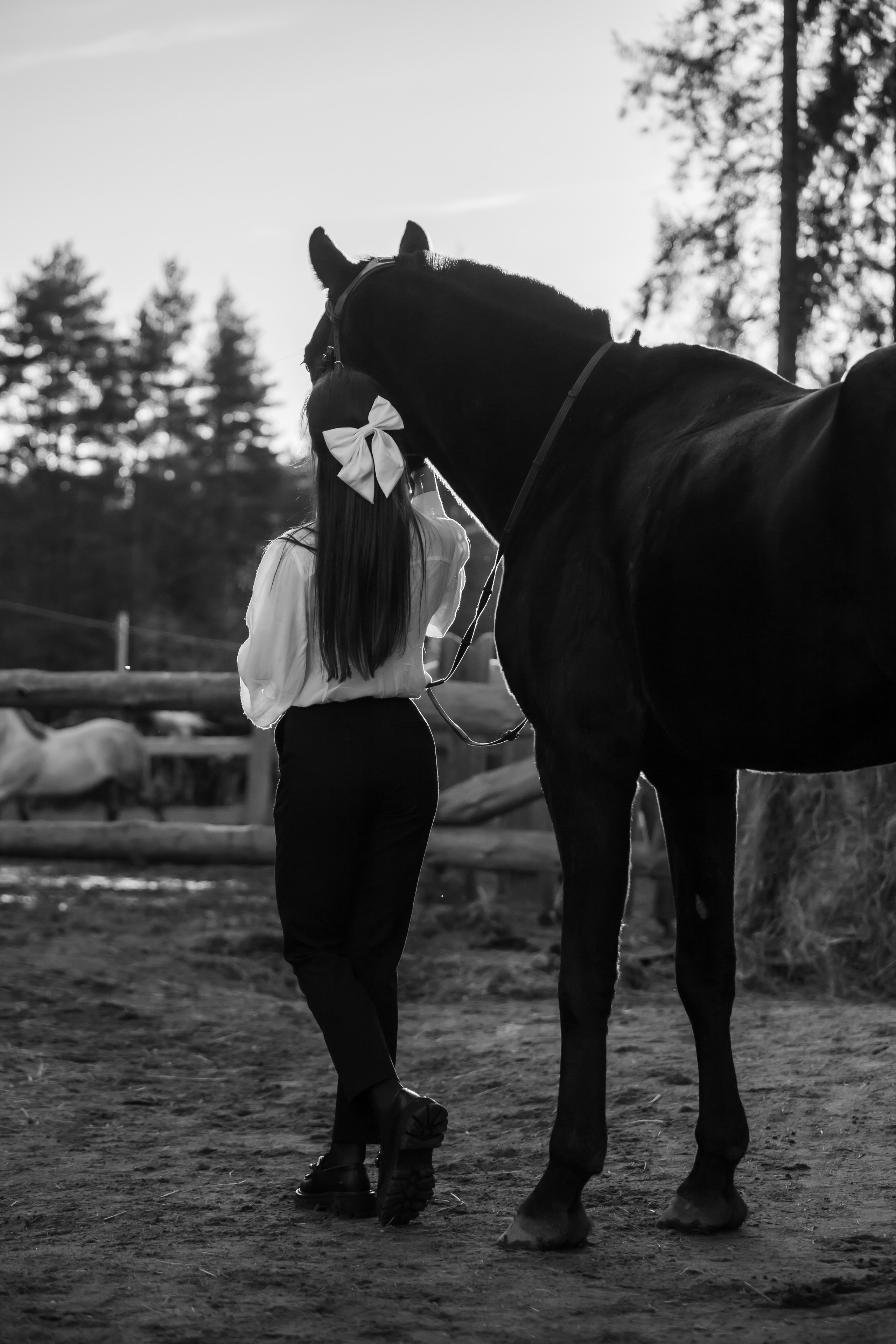 Художественные фотосессии. Конный фотограф в Санкт-Петербурге Анна Лебедева