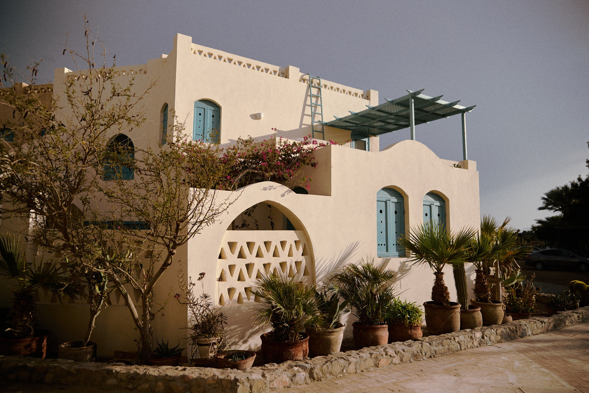 Улица горизонтальная. Jorgis — фотограф в Хургаде / обучение фотографии