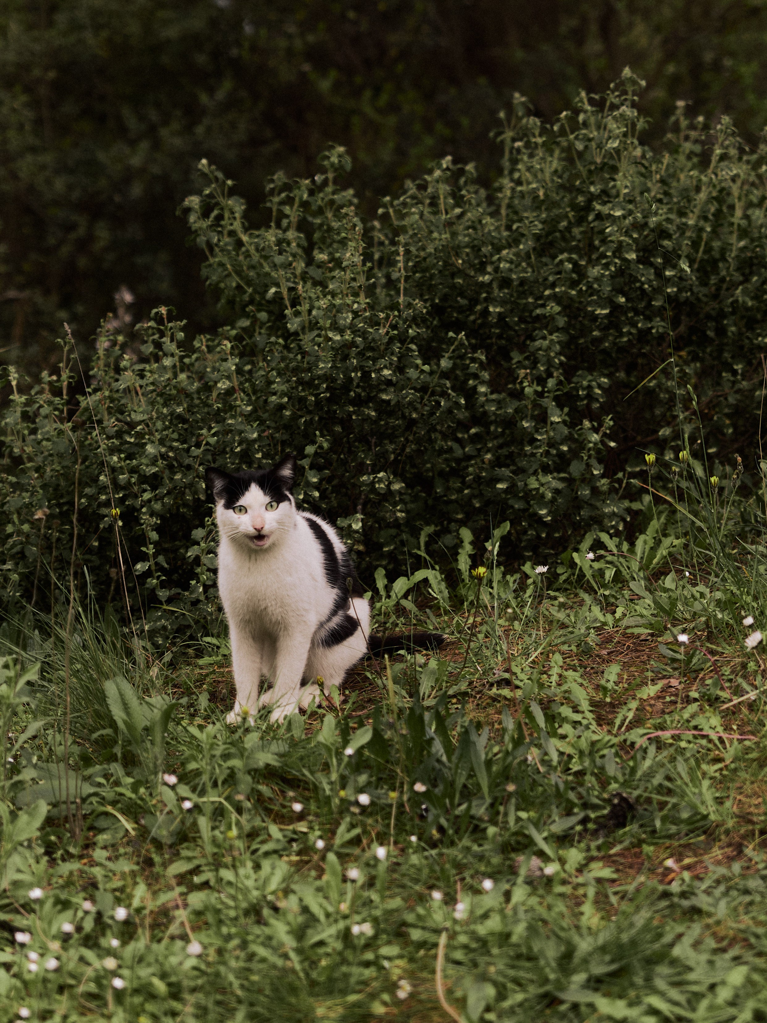 Природа. Jorgis Talè — photographer, kind person, teacher of arts and other mag