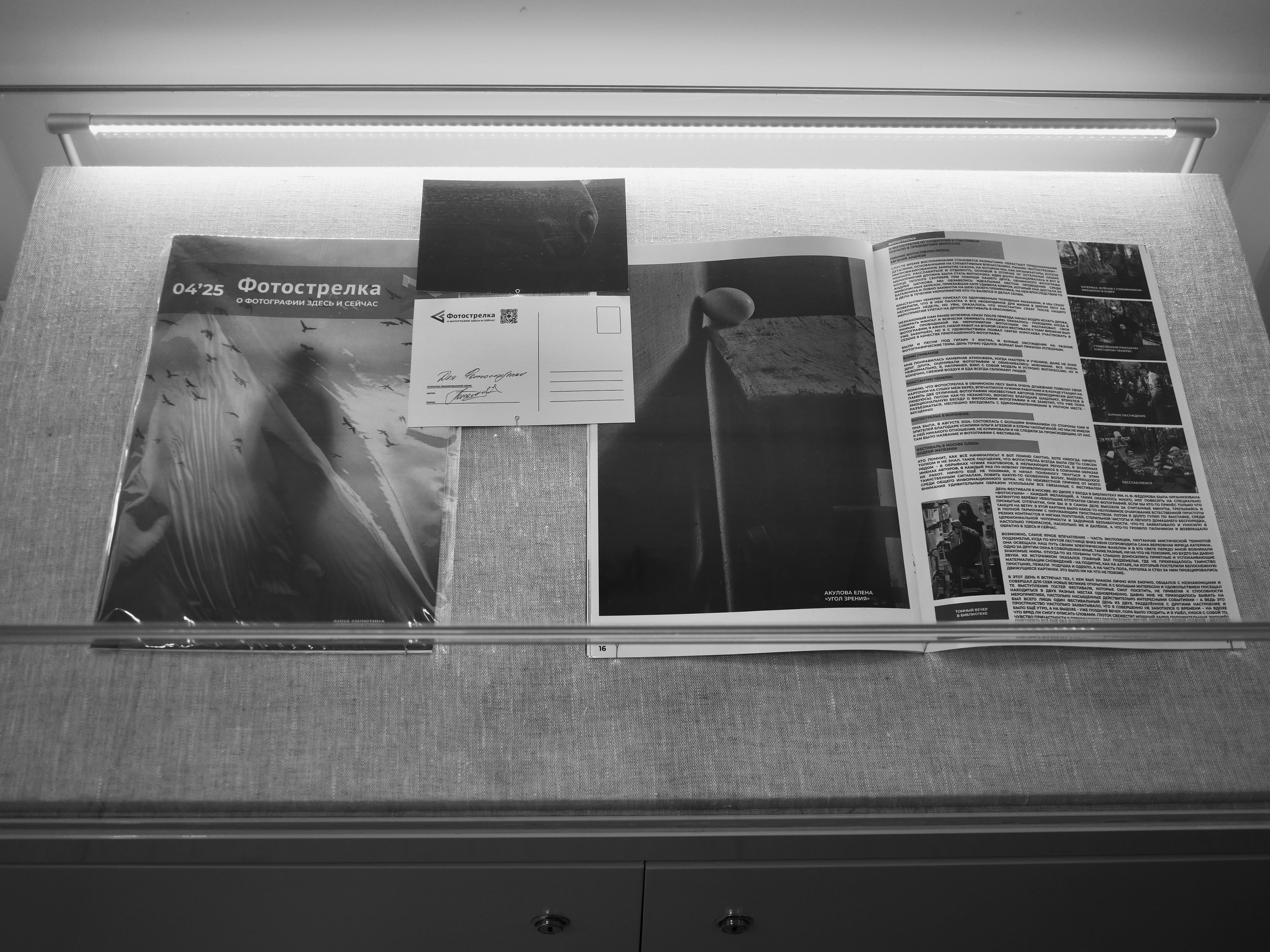 Тверь 17.07-16.08.2025. Фотострелка