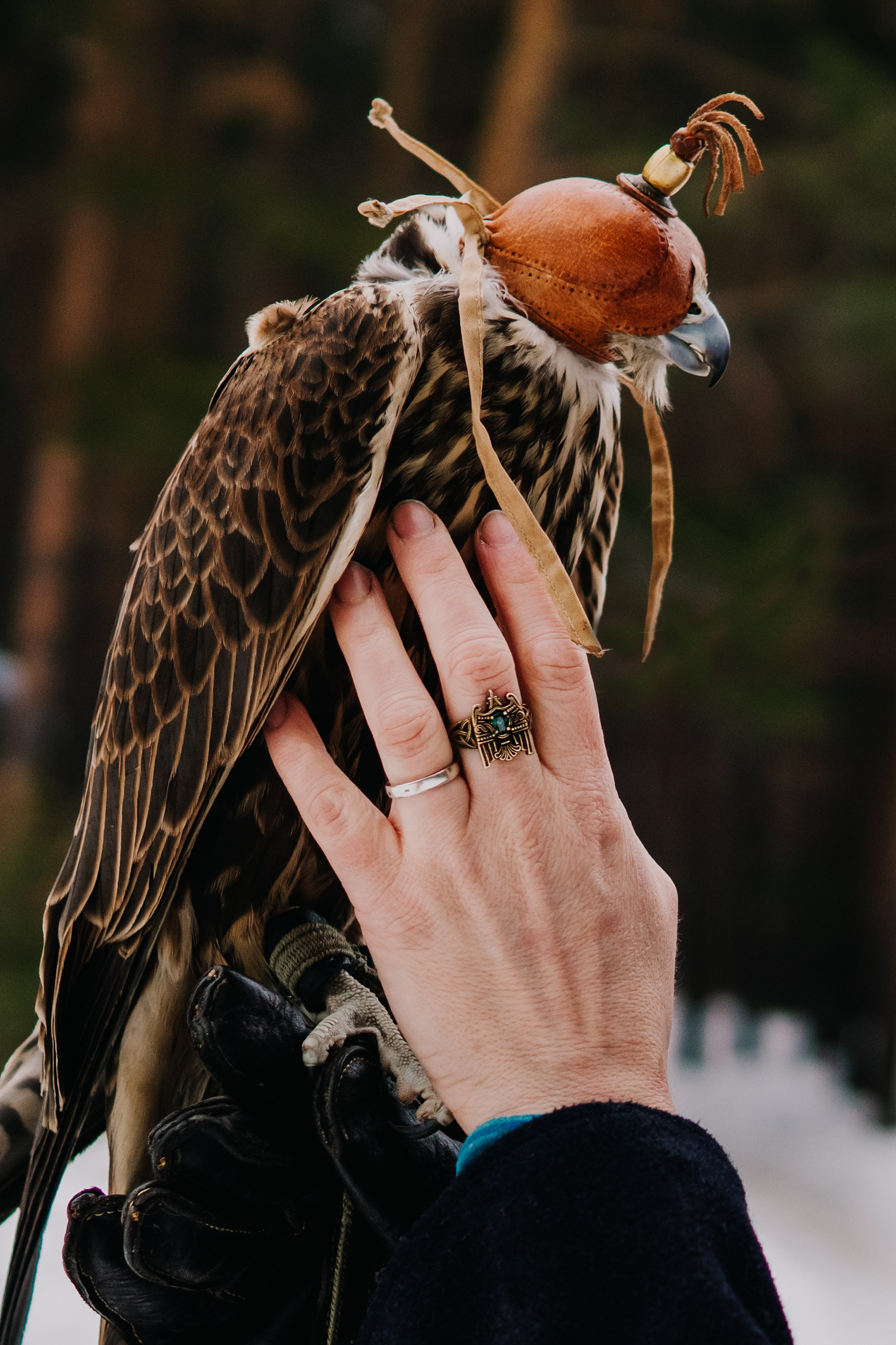 Soul Portrait. Saamill