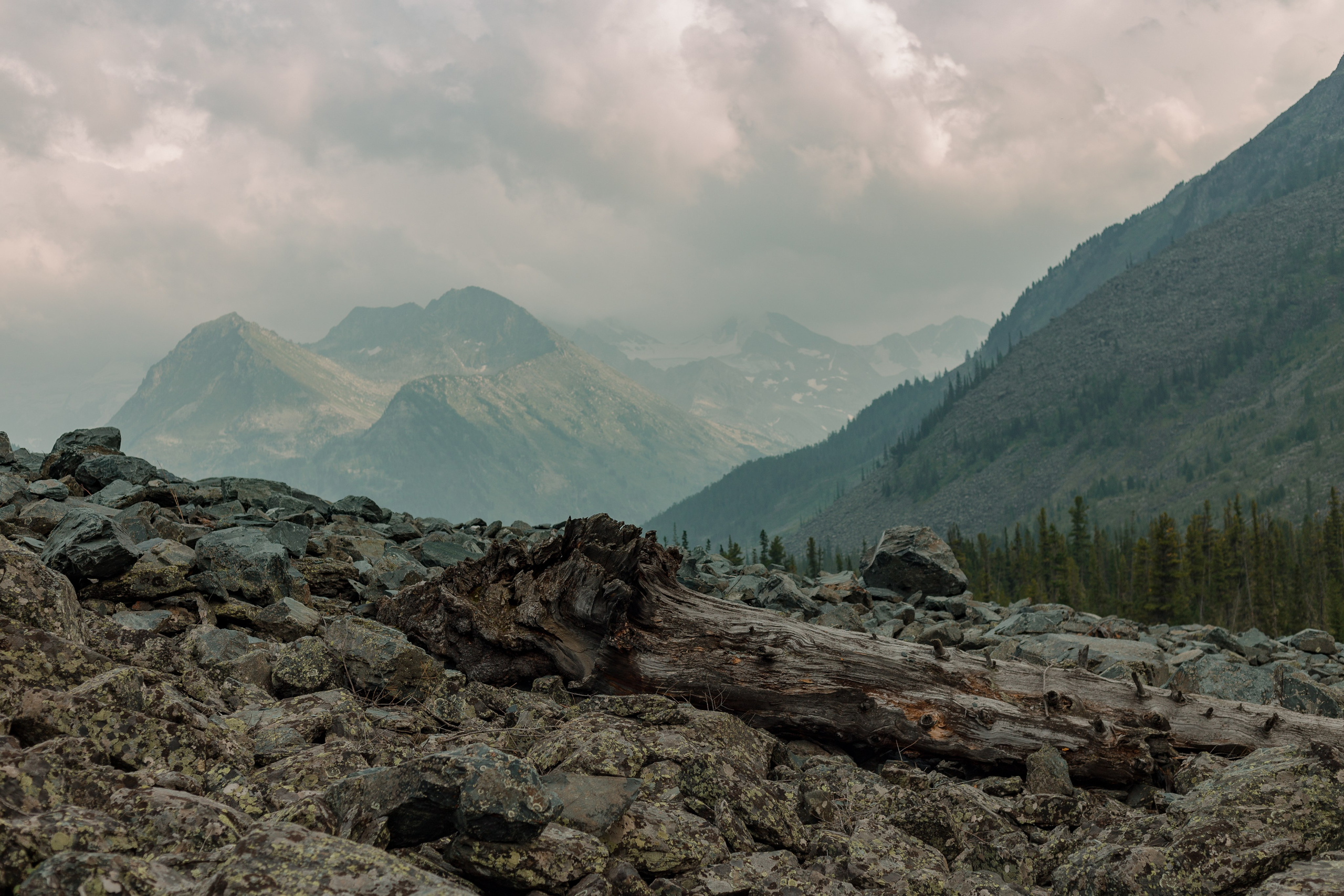 Катунский заповедник, Республика Алтай. Репортажный фотограф в Крыму Ксения Гасица