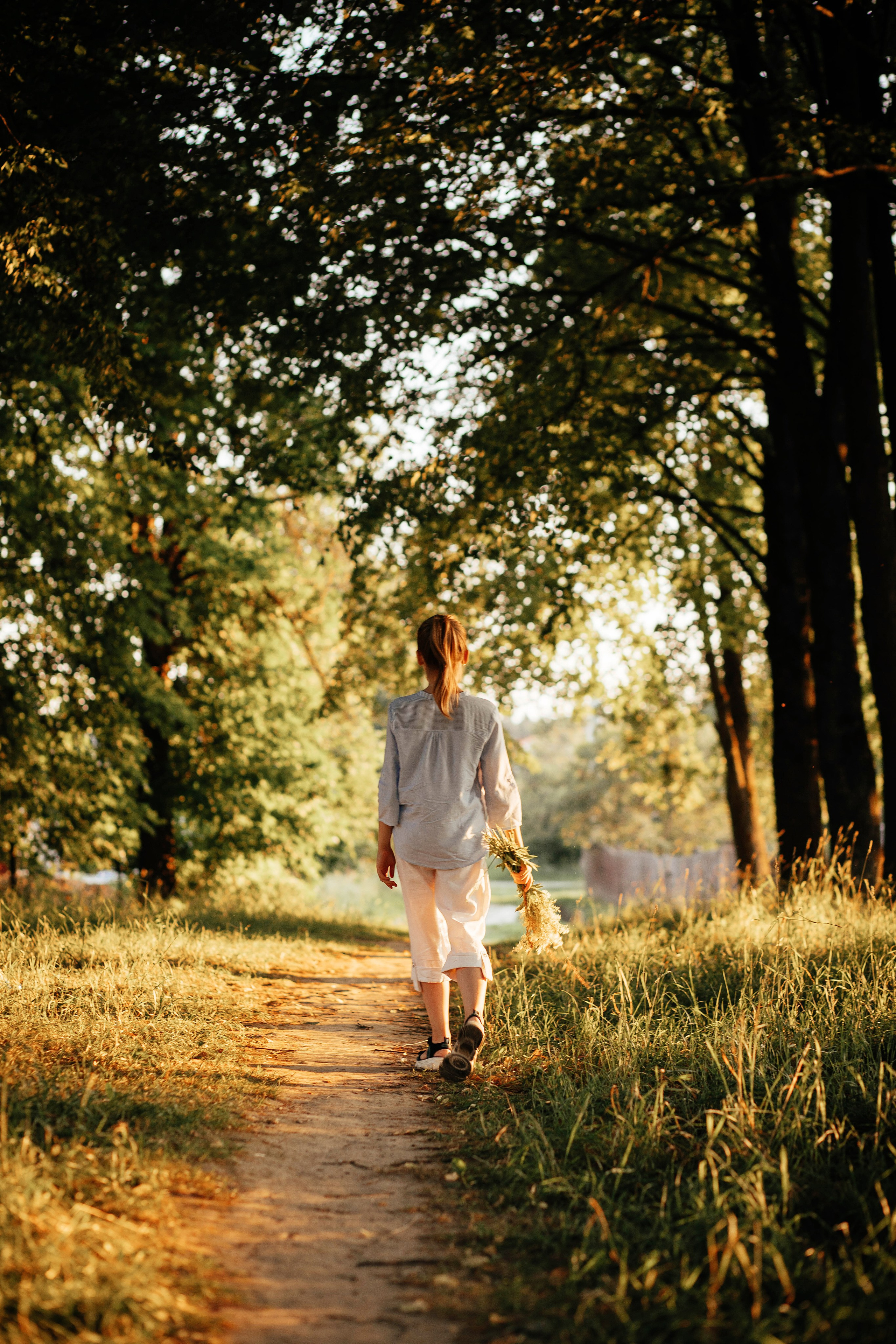 Фотопрогулки. Главная