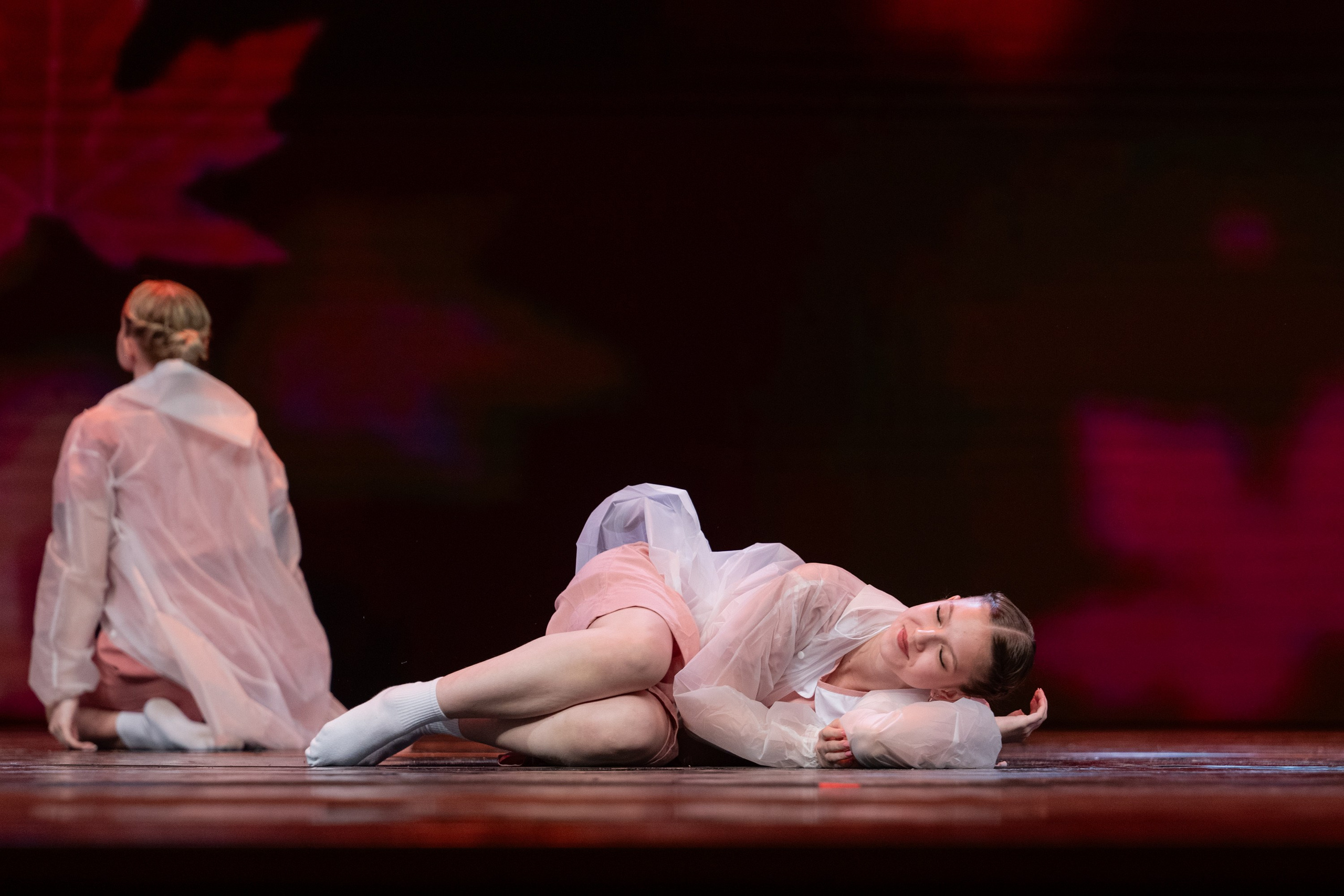 18 мая, г. Москва, Кремль, Концерт. Золотое яблочко