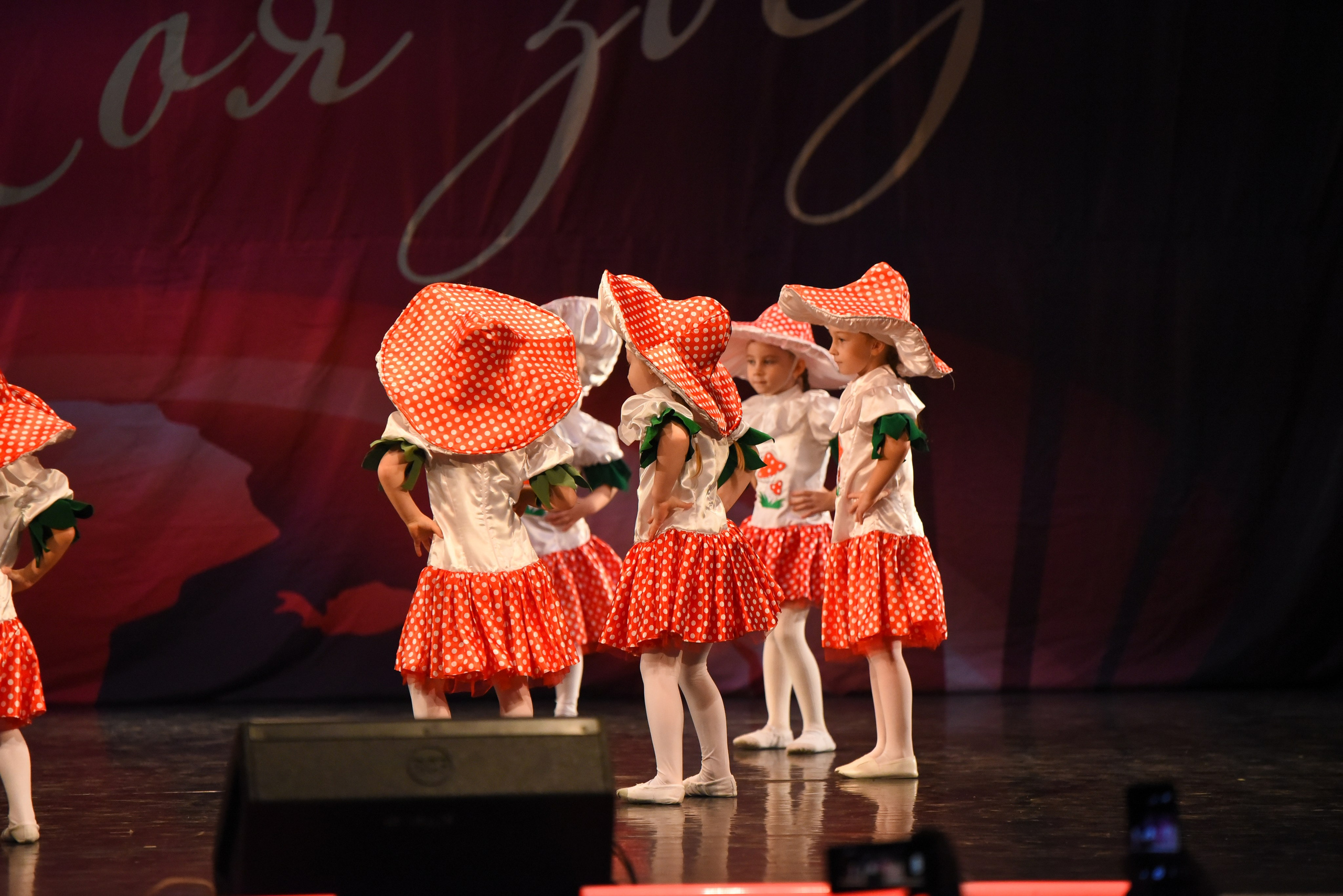 13 декабря, г. Калининград. Золотое яблочко