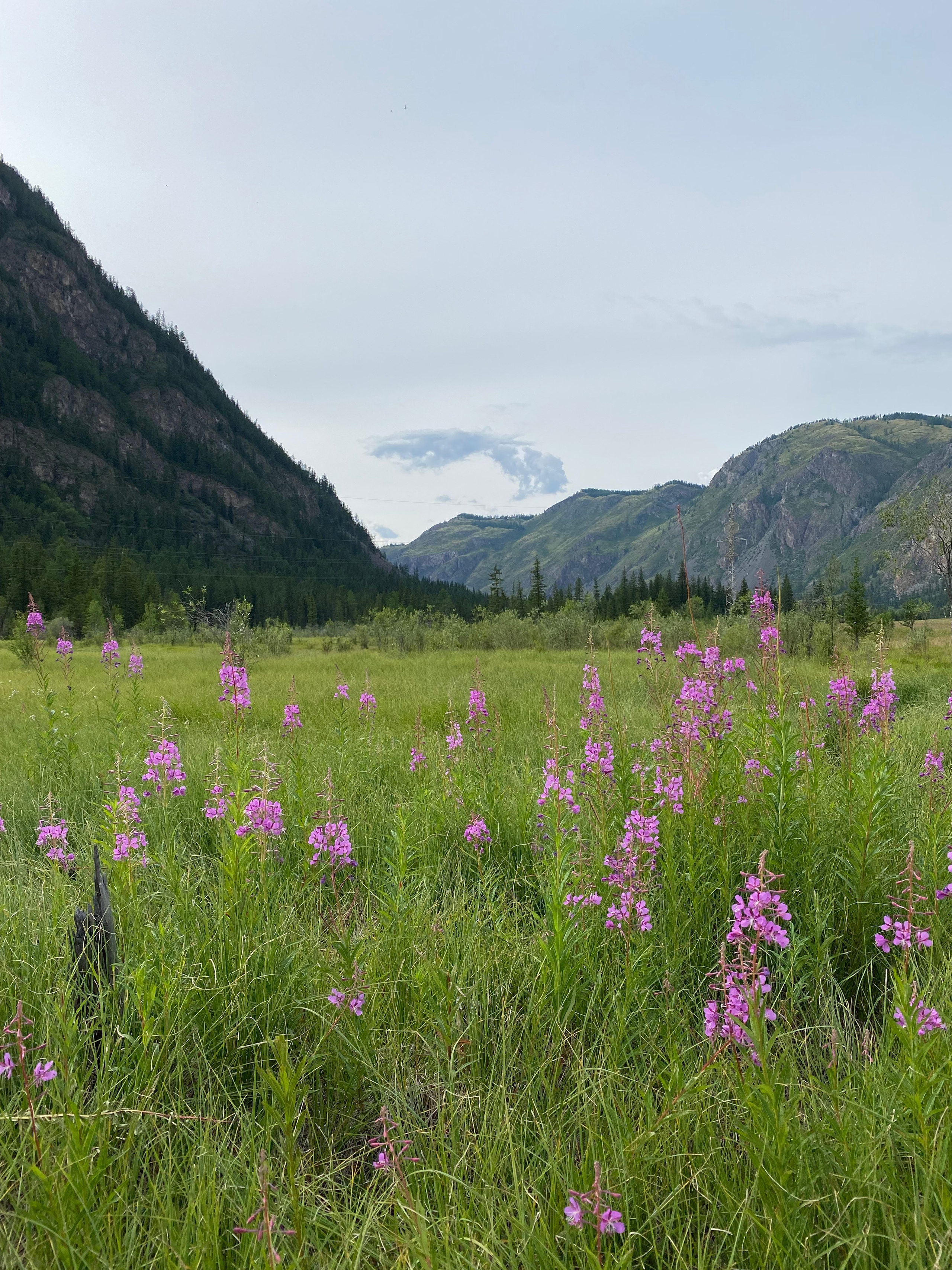 Iphone. Photographer in Turkey — Dari N