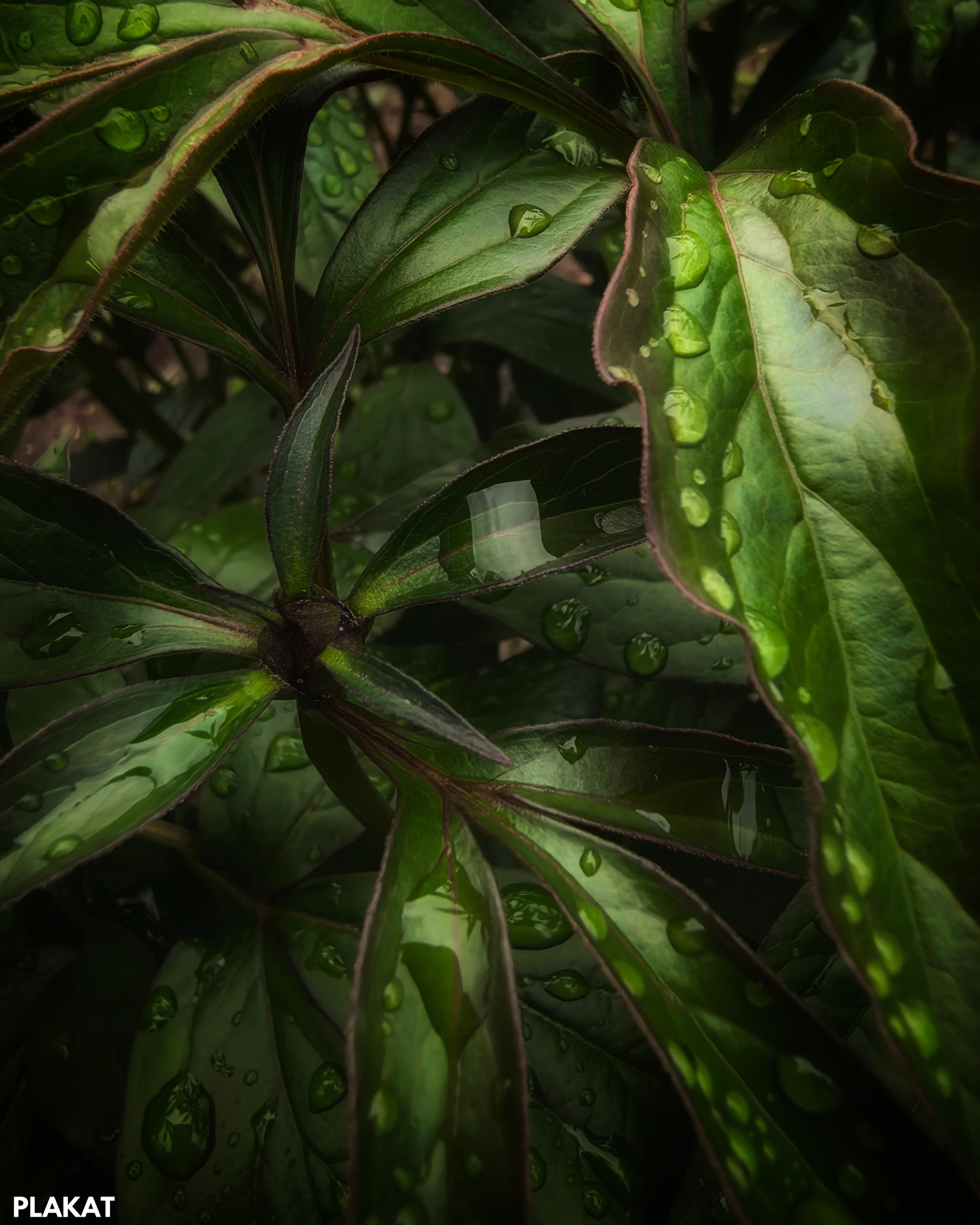 @natalliya_zhukovskaya