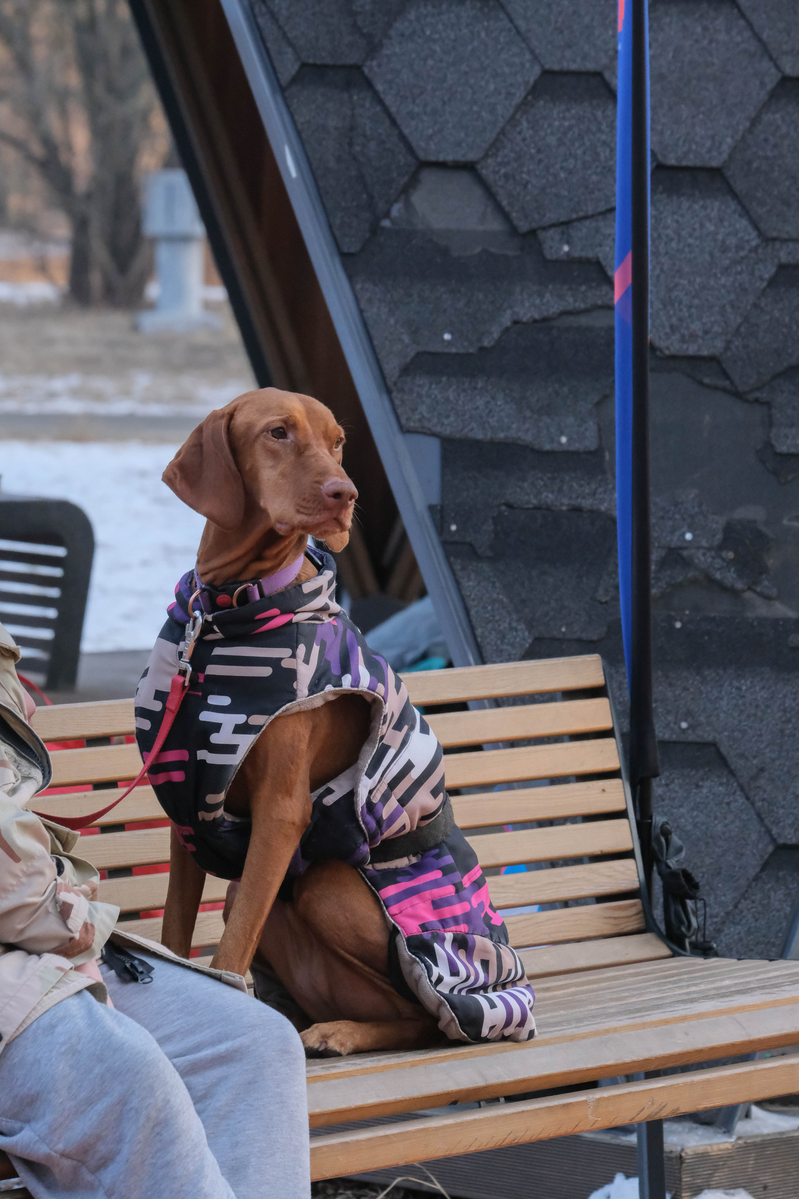 Репортажная съемка. Фотограф Диана Иремадзе