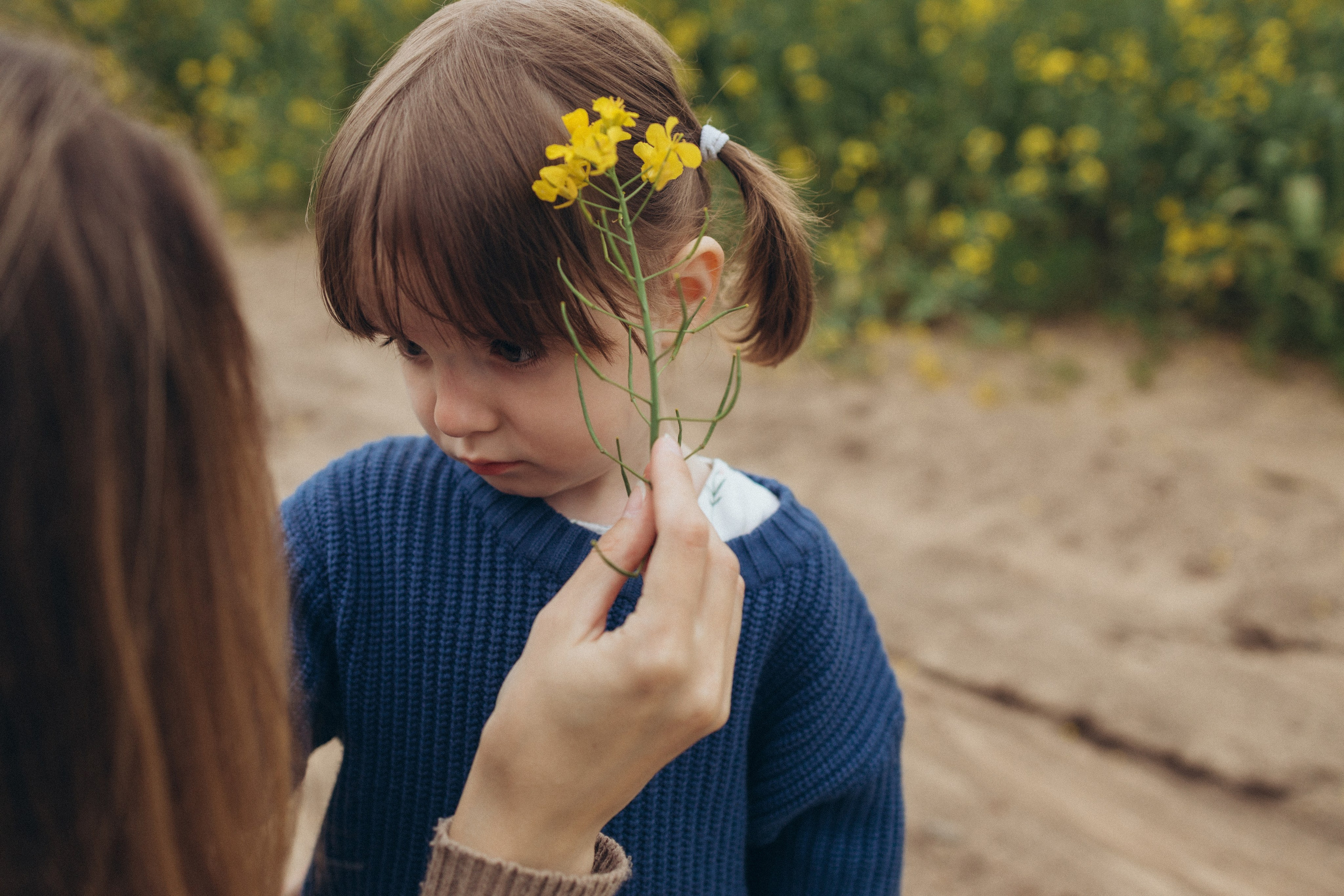 После дождя. Фотограф Елена Рябцева