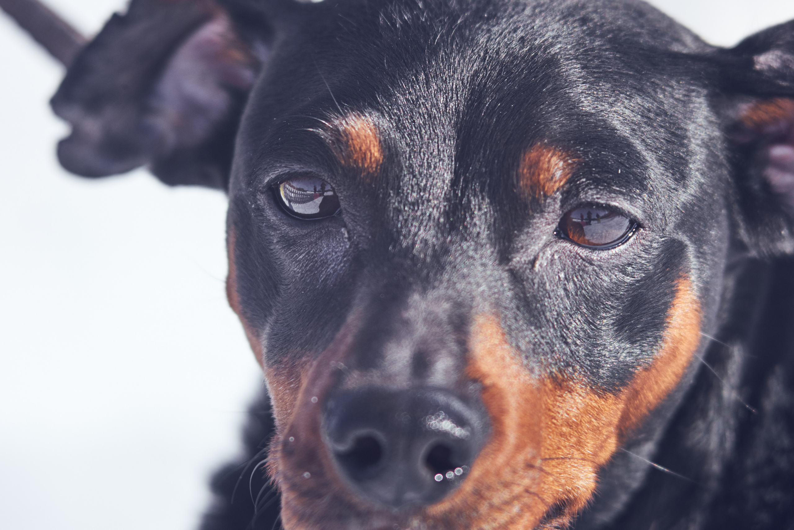 Мото. Репортажная съемка. Петр Зубачек