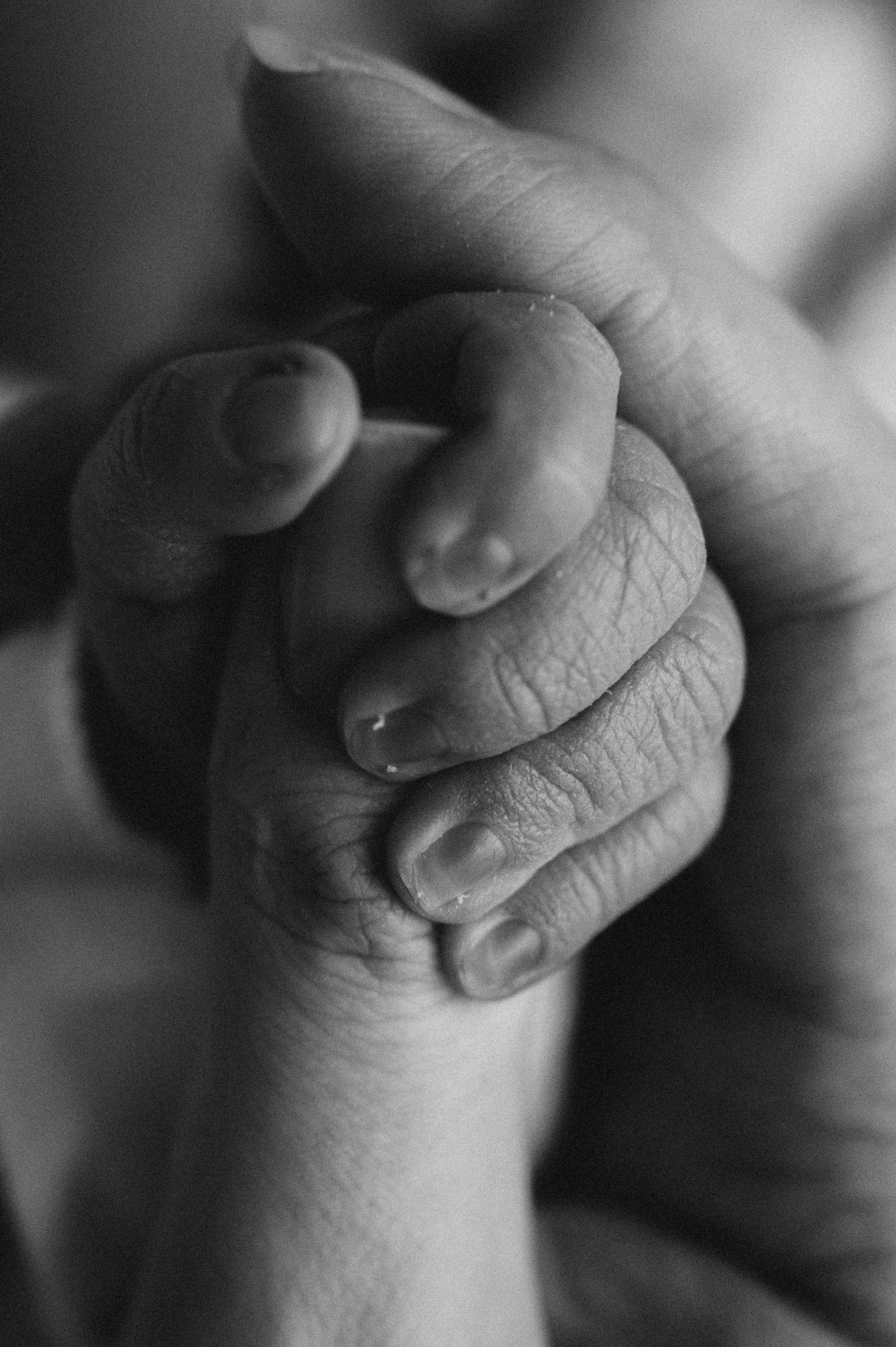 Выписка Ванюшки. Фотограф новорожденных и беременых в санкт-петербурге Юля Лампа