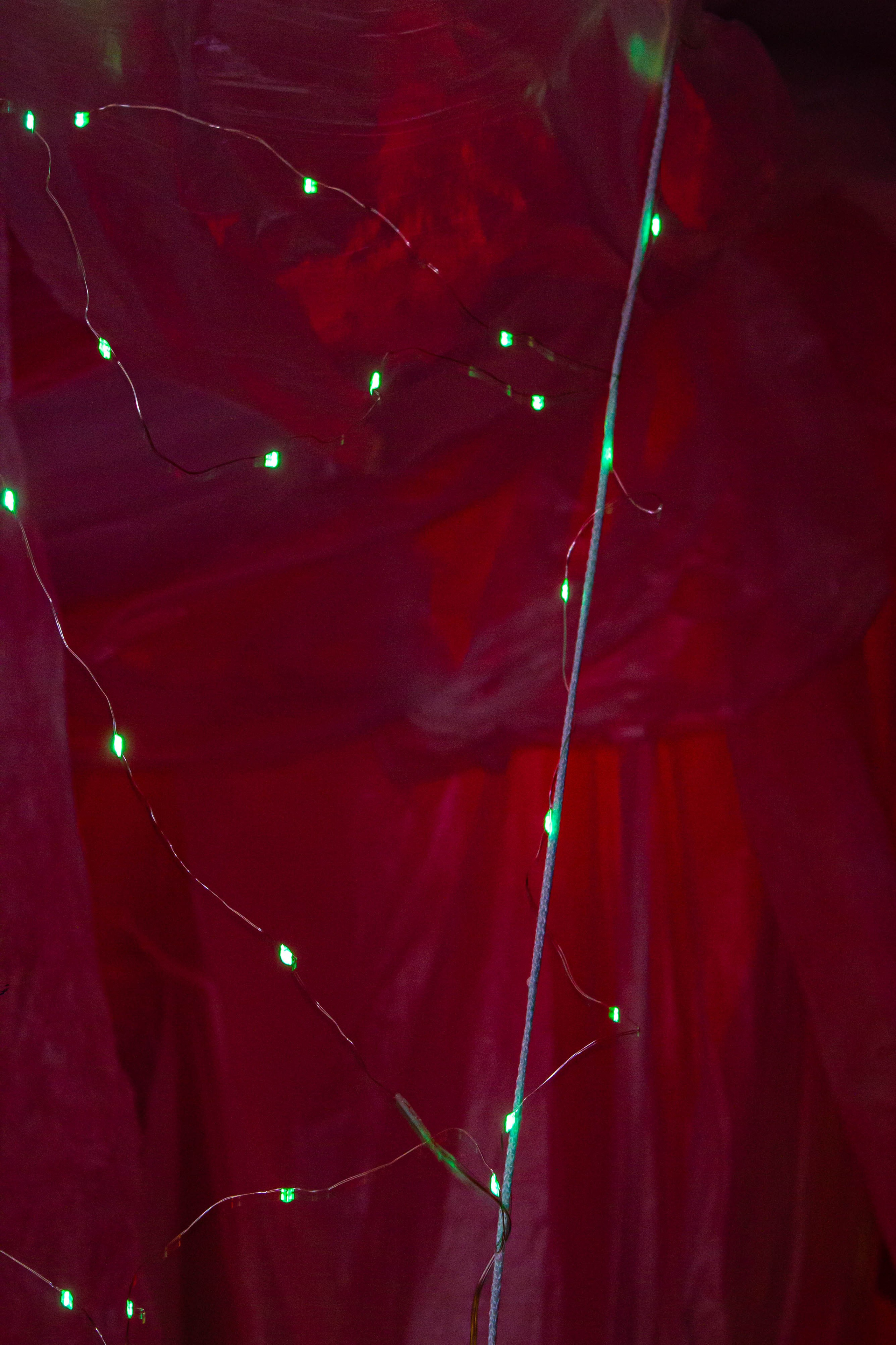 НЕ ТЕМНО_ЛИЦЕЙ им. С. П. ДЯГИЛЕВА 2025