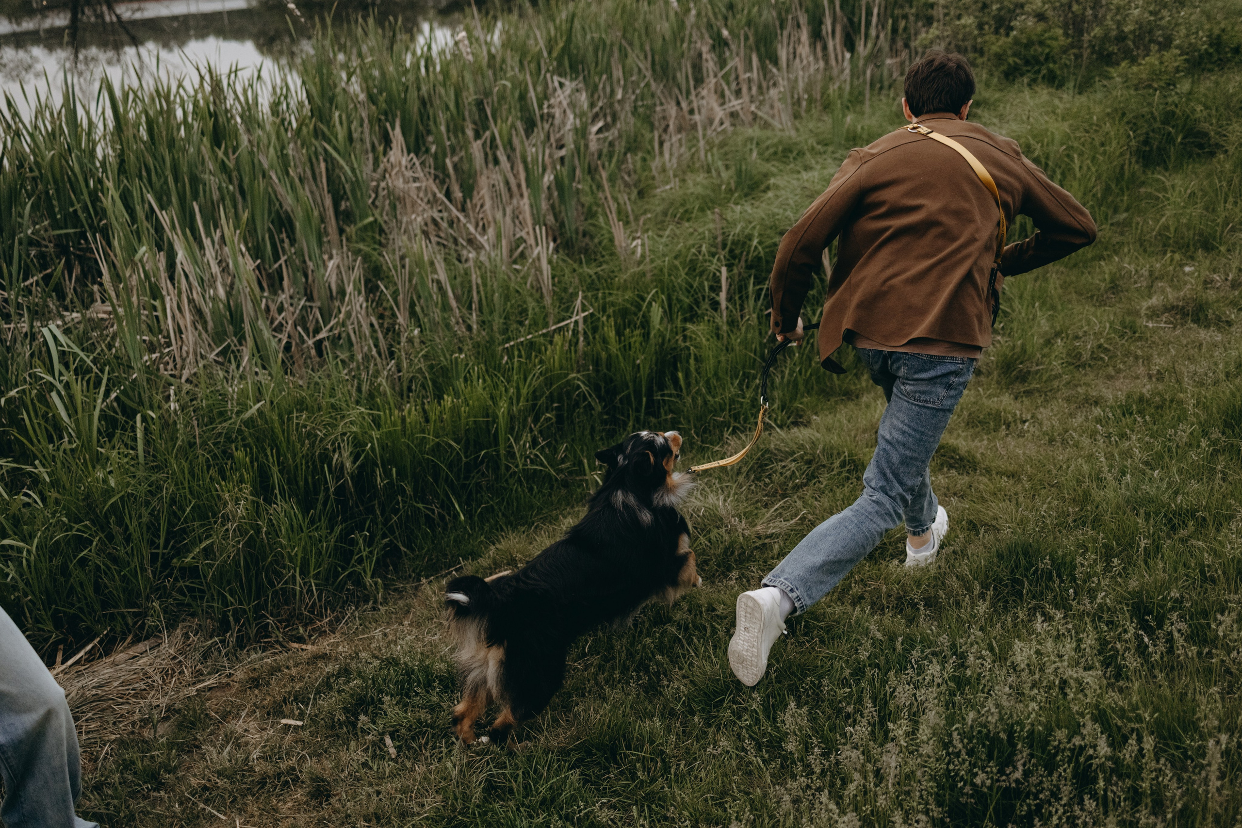 Настя, Никита и их Гром и Мяу. Фотограф — Анималист | Санкт-Петербург