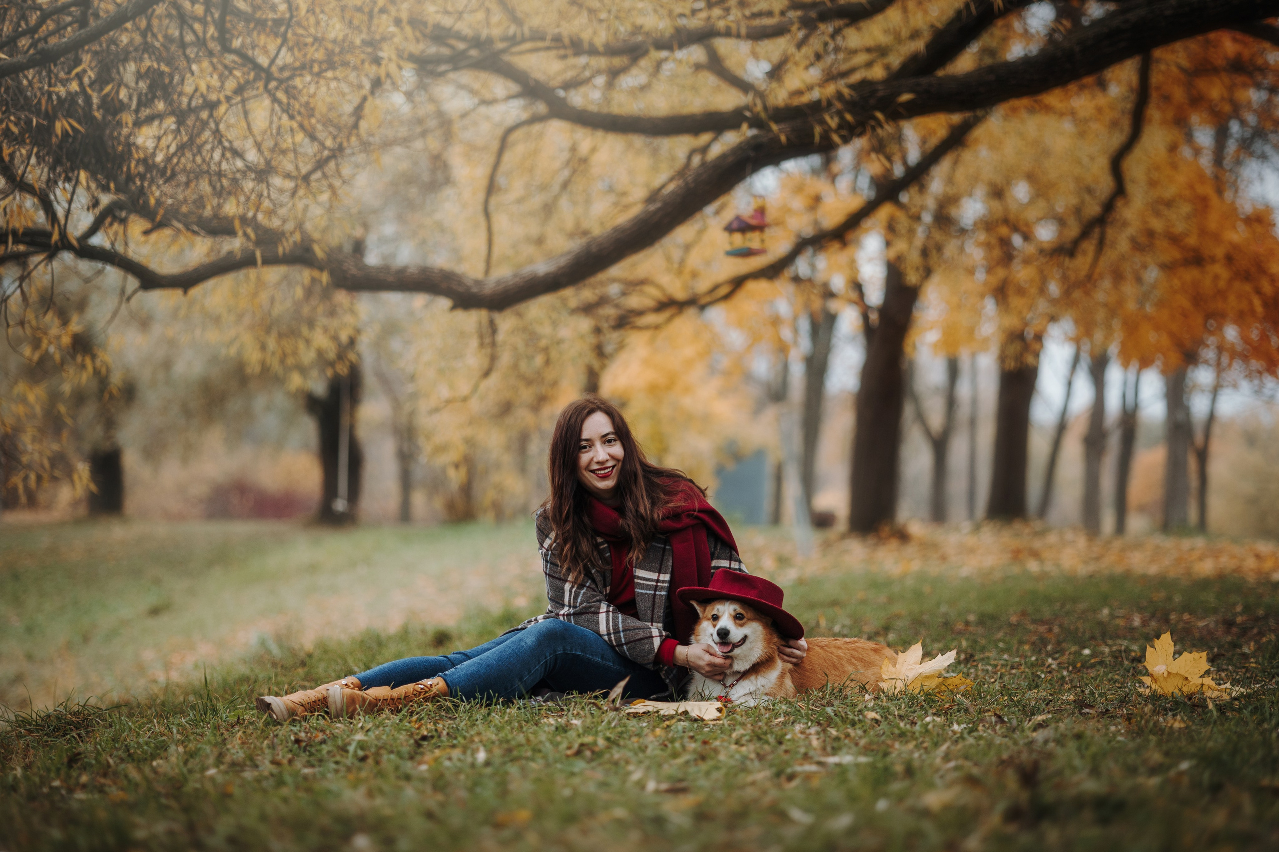 Юля и Терри. Фотограф — Анималист | Санкт-Петербург