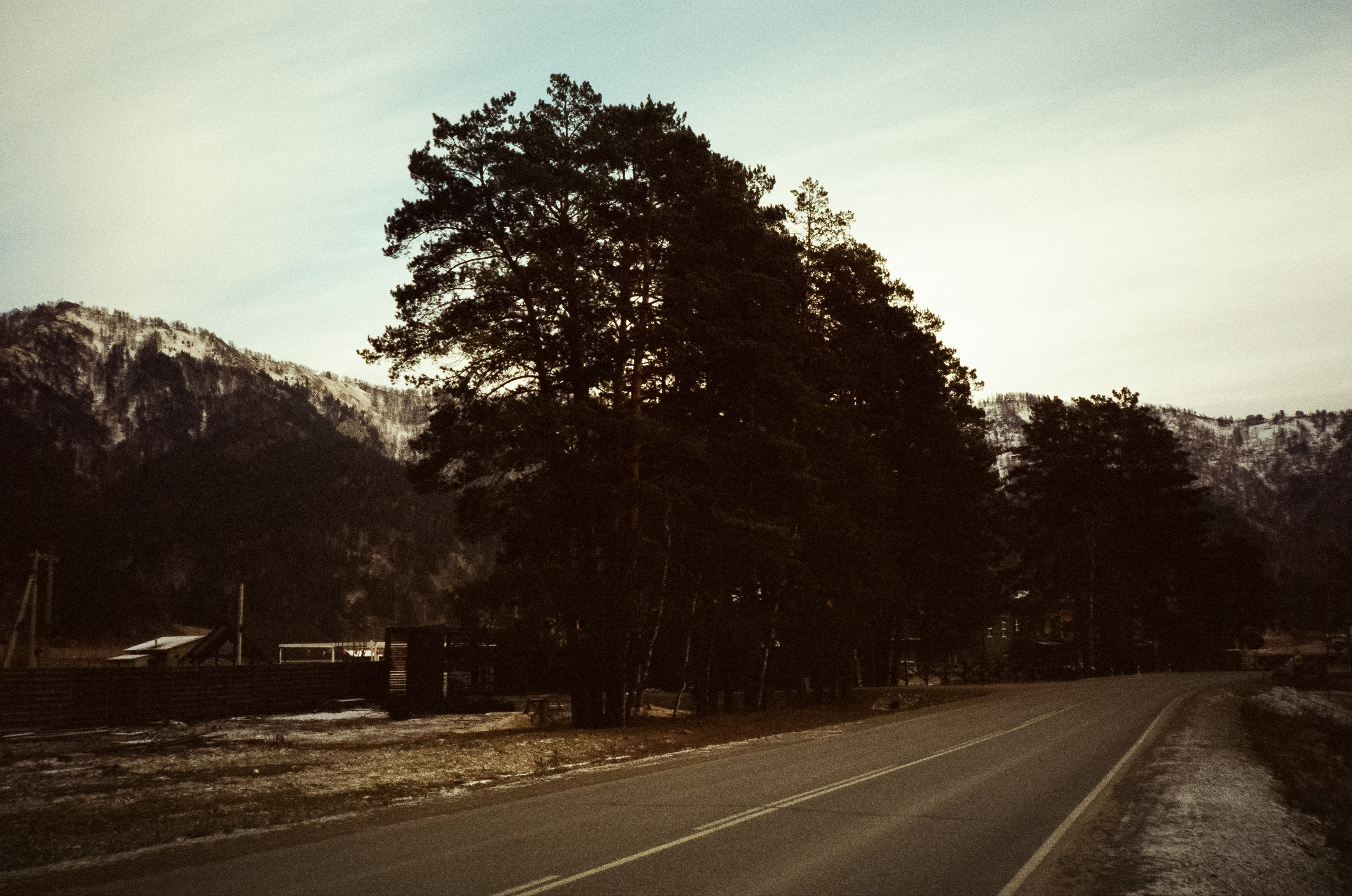 Дорога в сторону Сада Пионов, база Сила Алтая / 15 — 16 декабря 2023 г