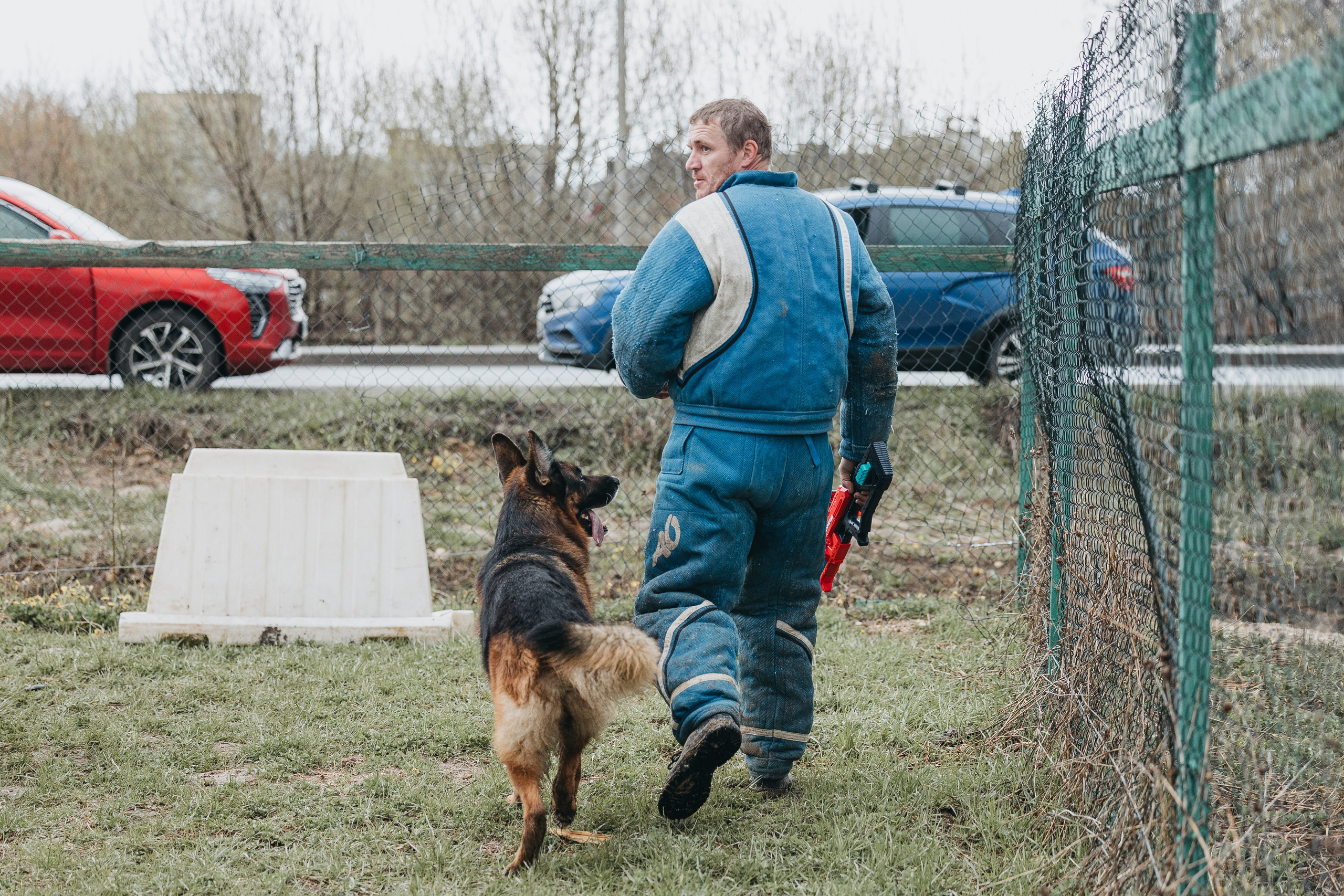 09.05.25 Вологда соревнования. Фотограф-анималист Анна Маринич