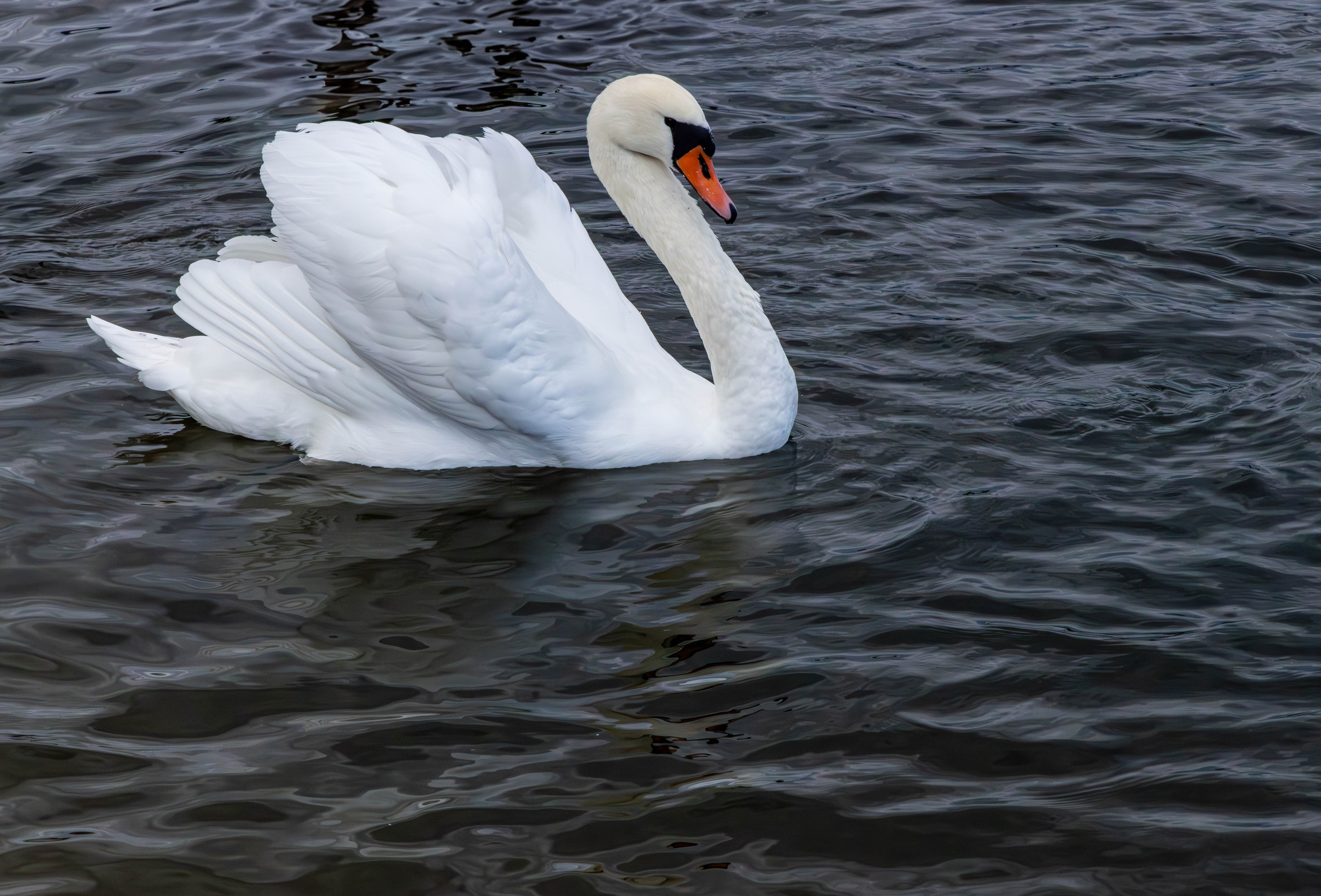 Архитектура и пейзажи. Главная