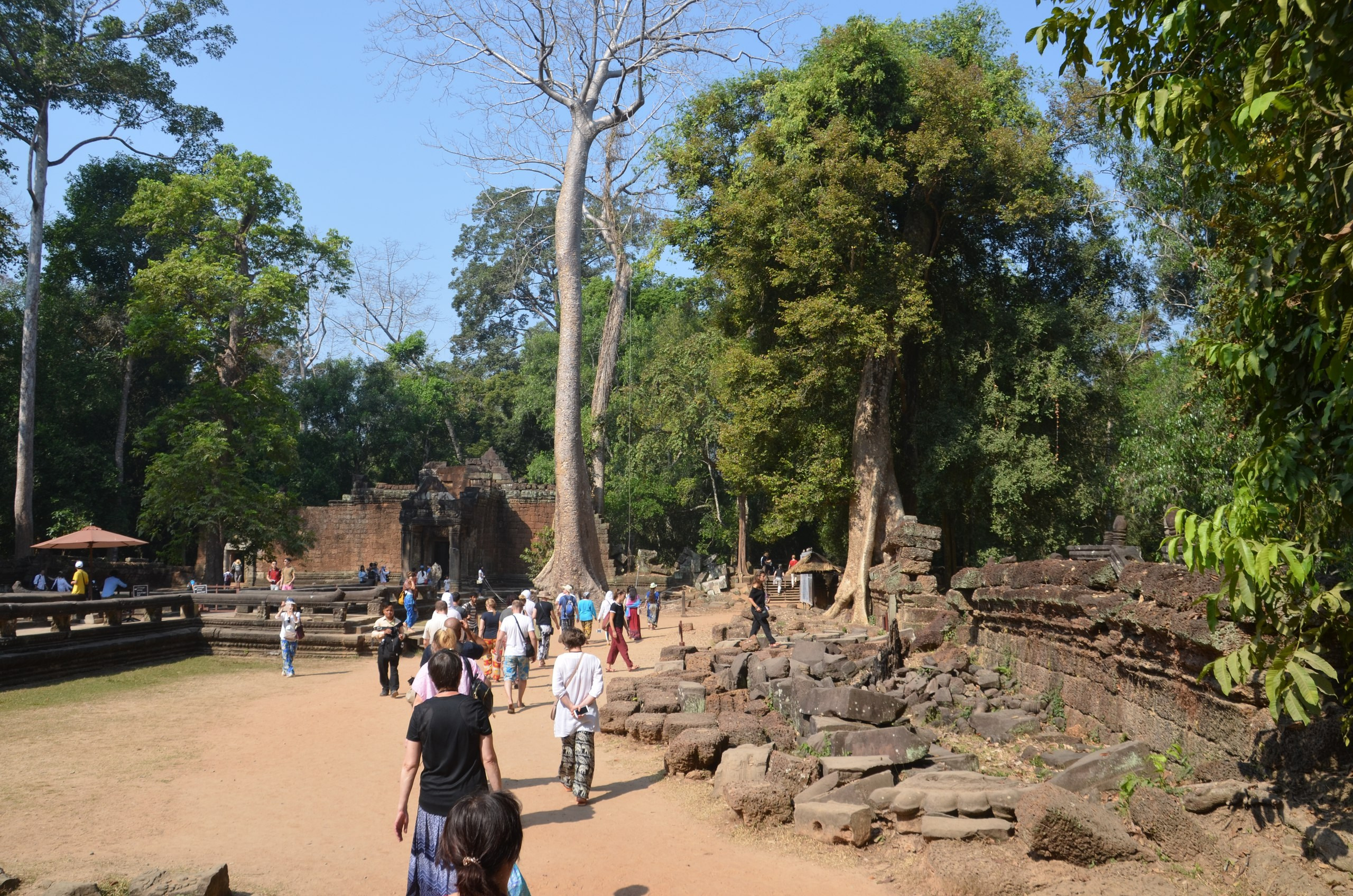 Таиланд |10-25.02.2018. Галерея Фантим