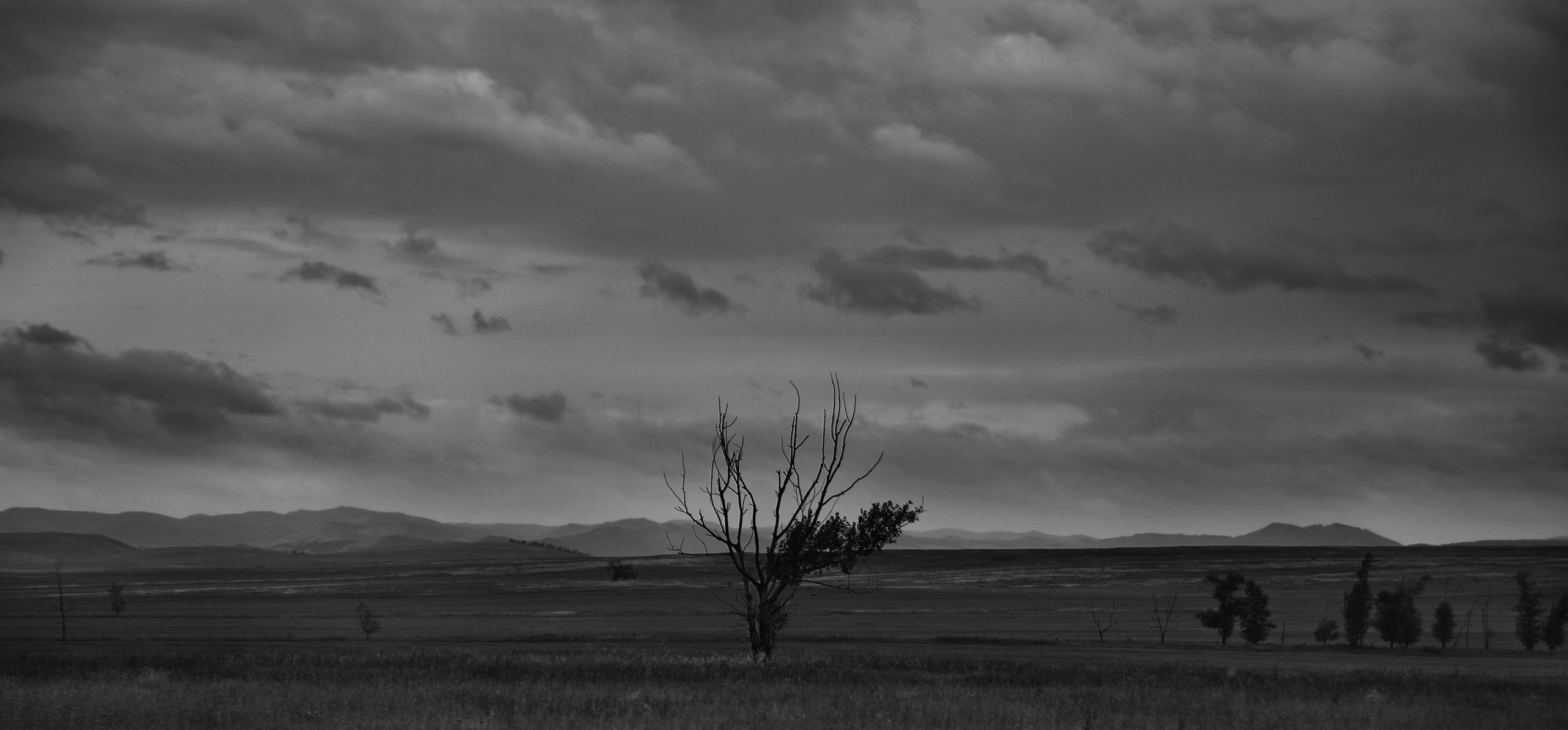 Катерина Михеева