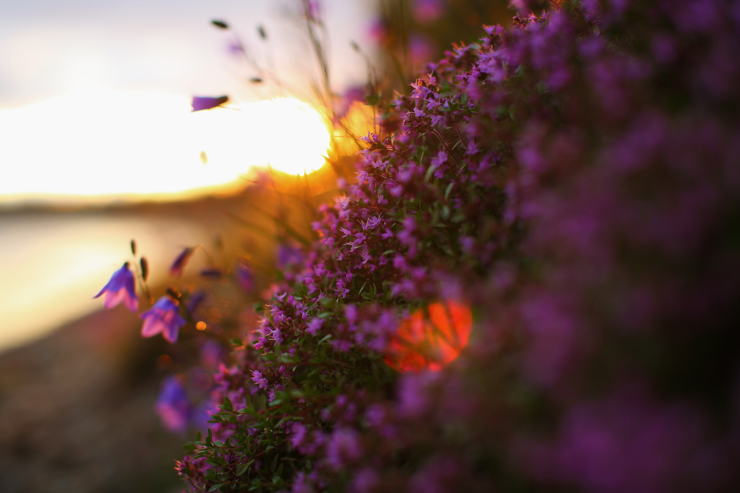 Полярный Урал. Свадебный и репортажный фотограф в Ярославле и Санкт-Петербурге Роман Микрюков