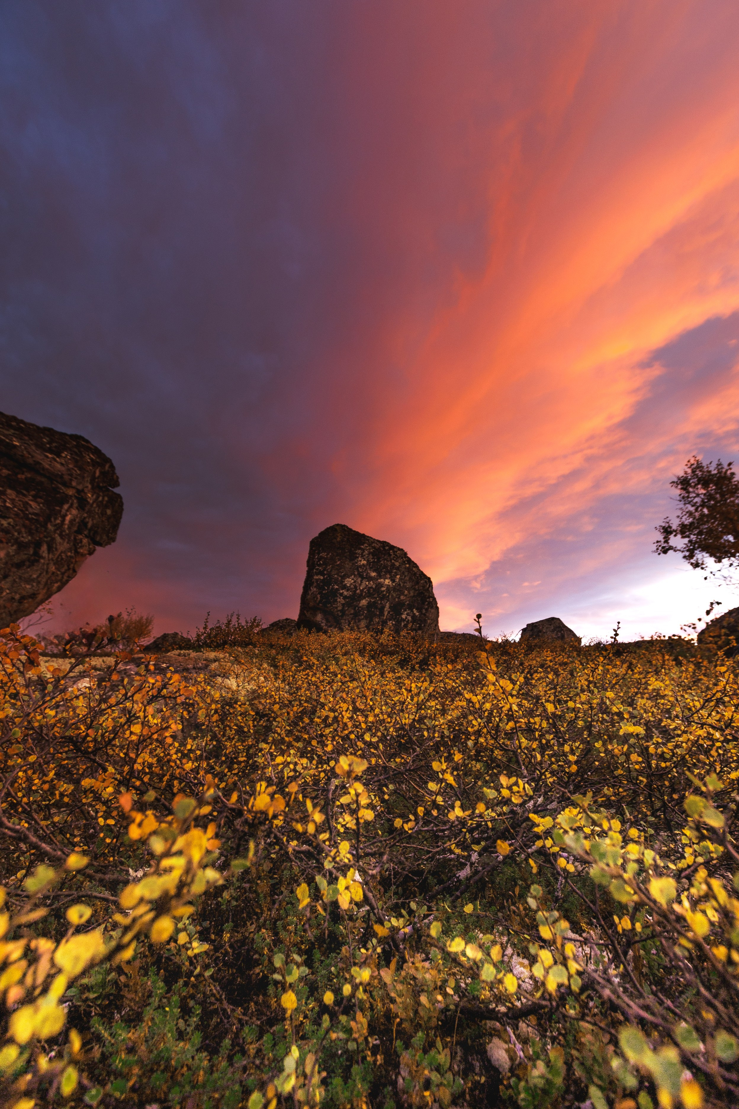 Travel. Индивидуальная и семейная съёмка. Москва, Наталья Самохвалова