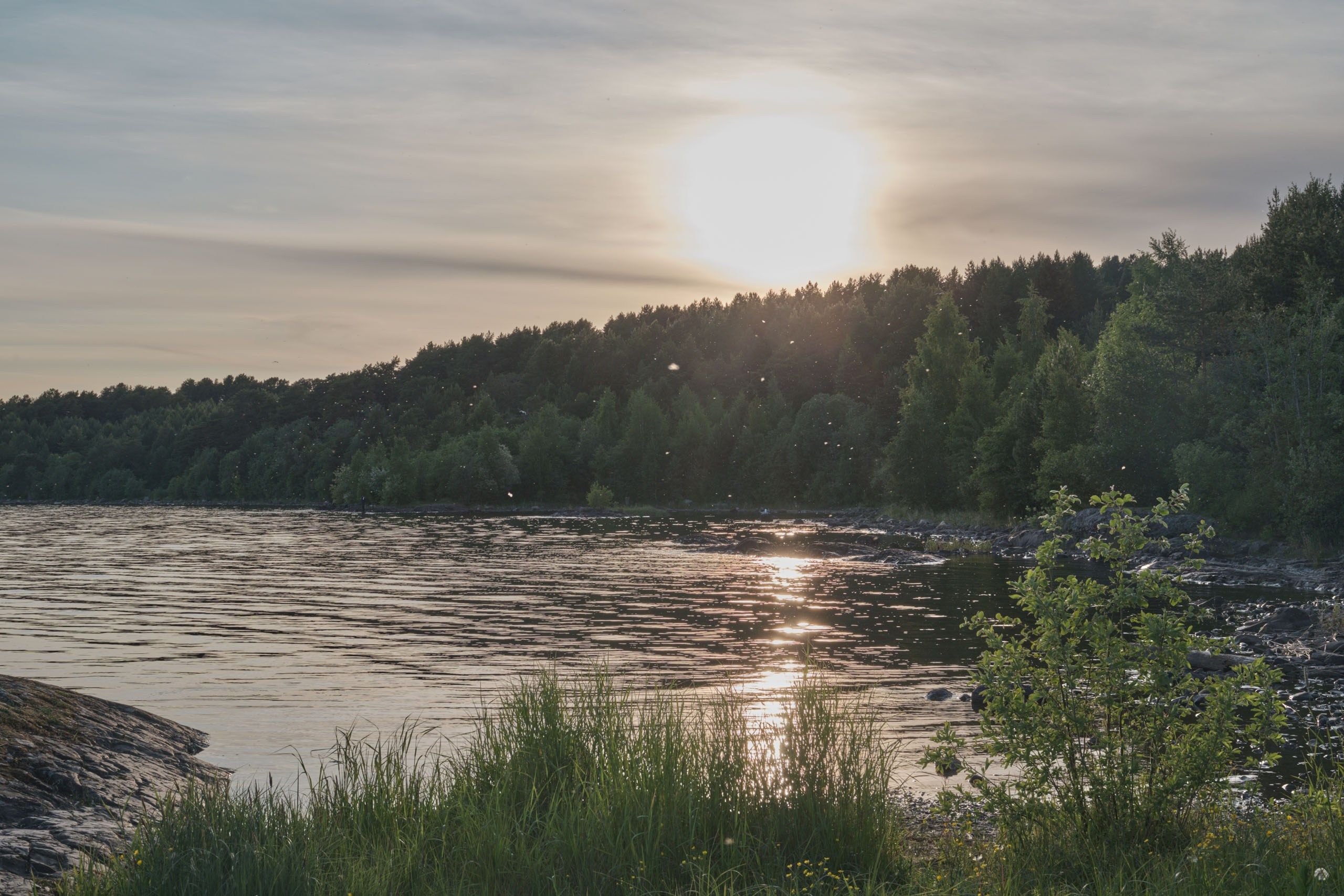 Фотоальбом с разными съёмками
