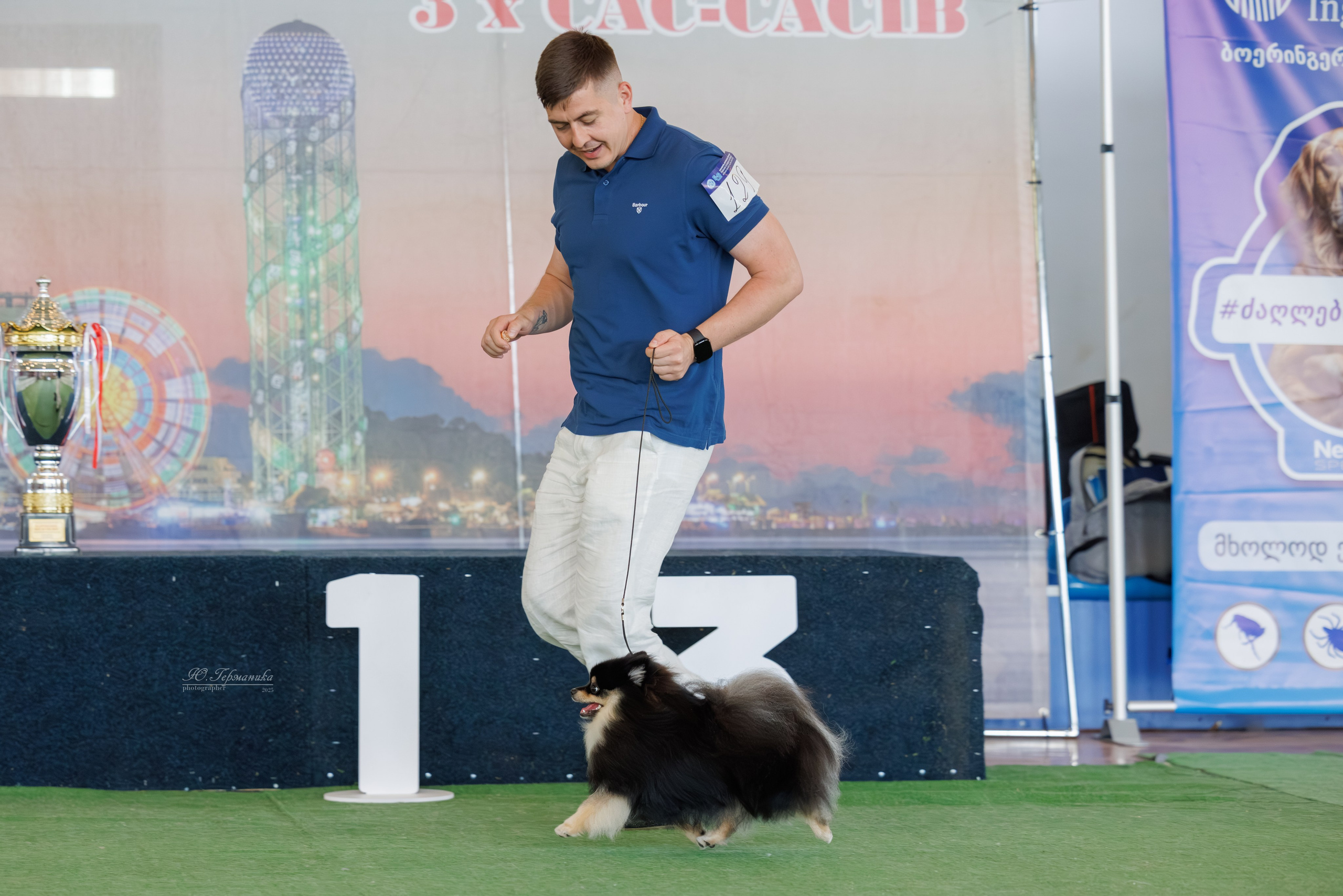 Батуми 3хCACIB 27-29.06.2025. Фотограф-анималист Юлия Германика