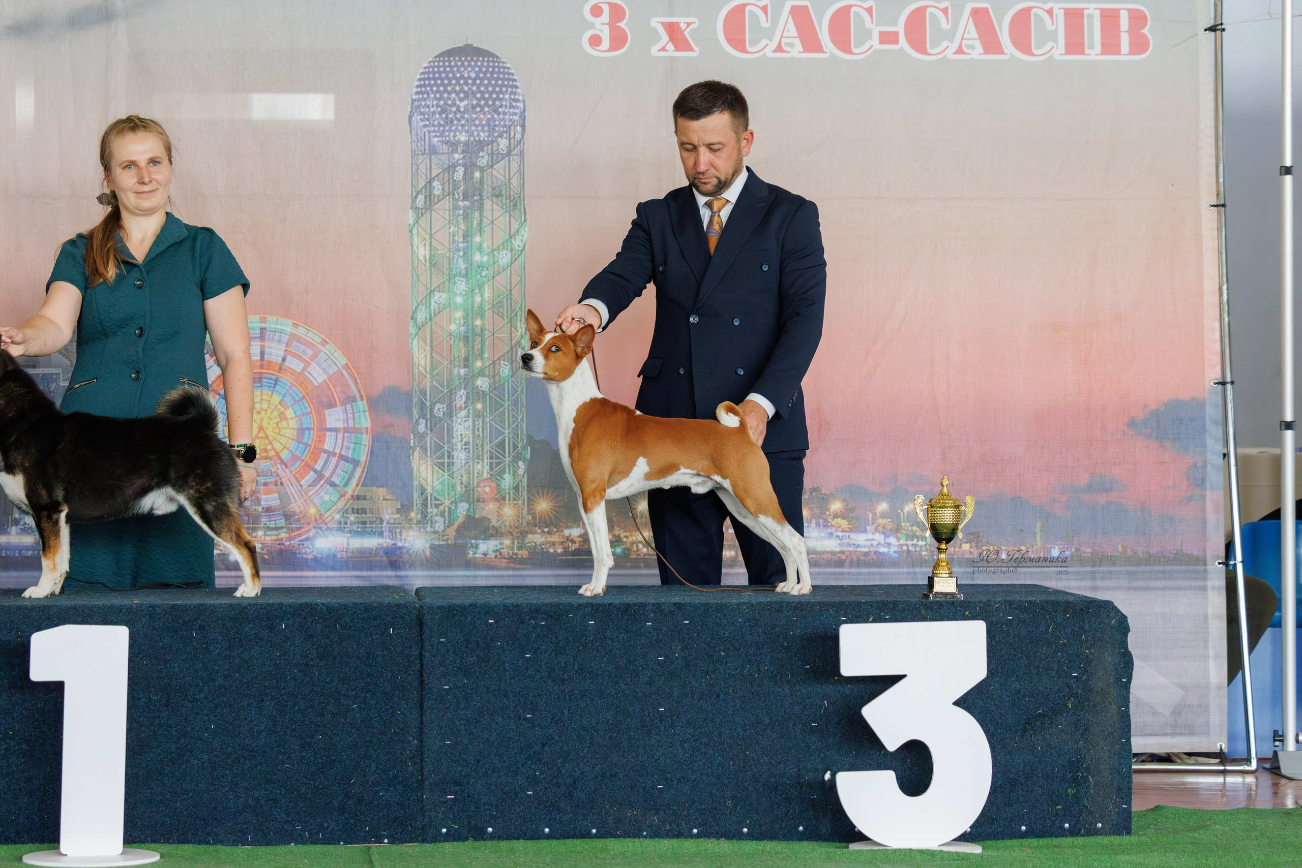 Батуми 3хCACIB 27-29.06.2025. Фотограф-анималист Юлия Германика