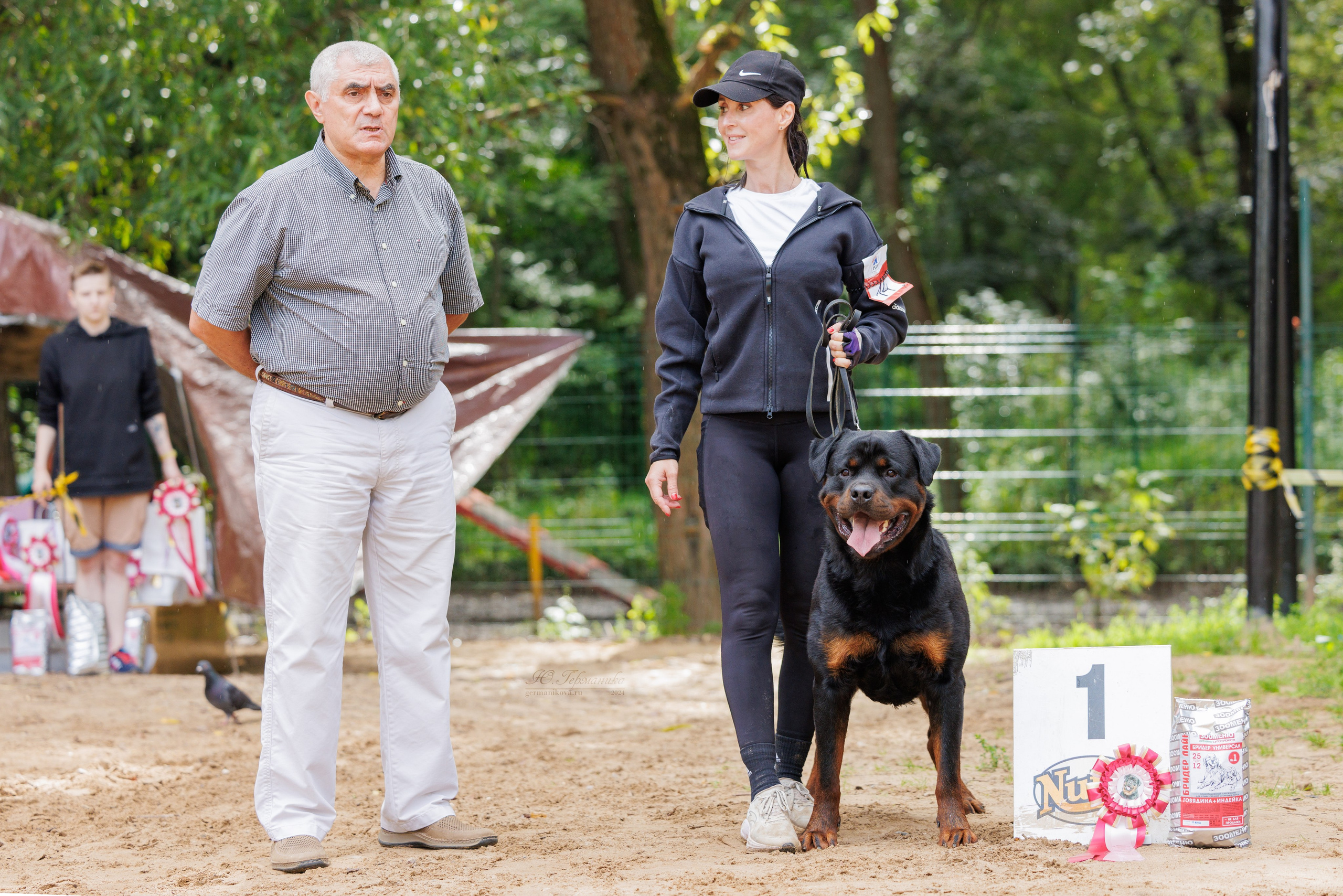 Рязань-Ховрино 10-11.08.2024 3хмоно ротвейлеров. Фотограф-анималист Юлия Германика