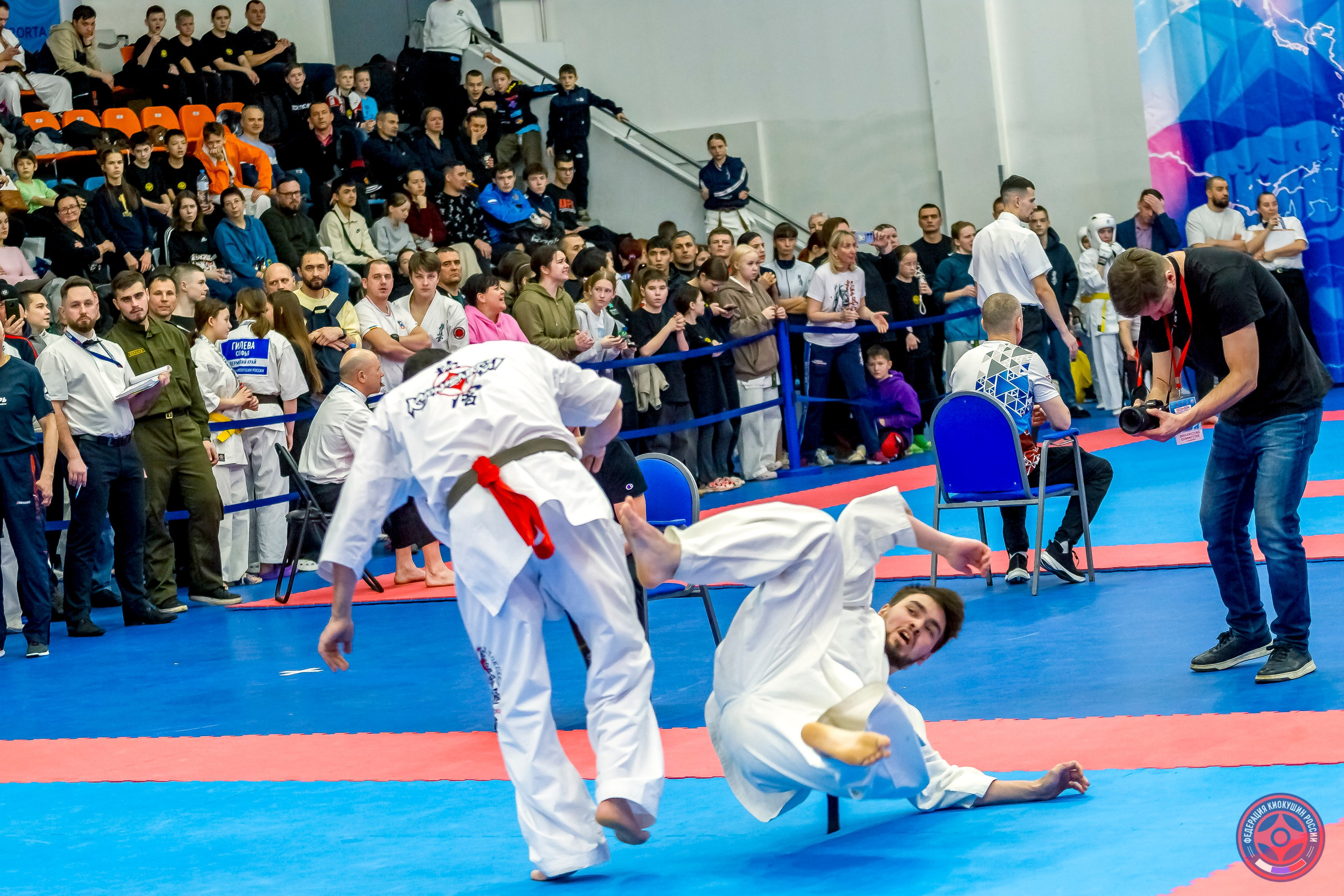 Международный турнир по киокушин «Открытый кубок Seiken». Репортажная съемка в Москве и области. Анималистика