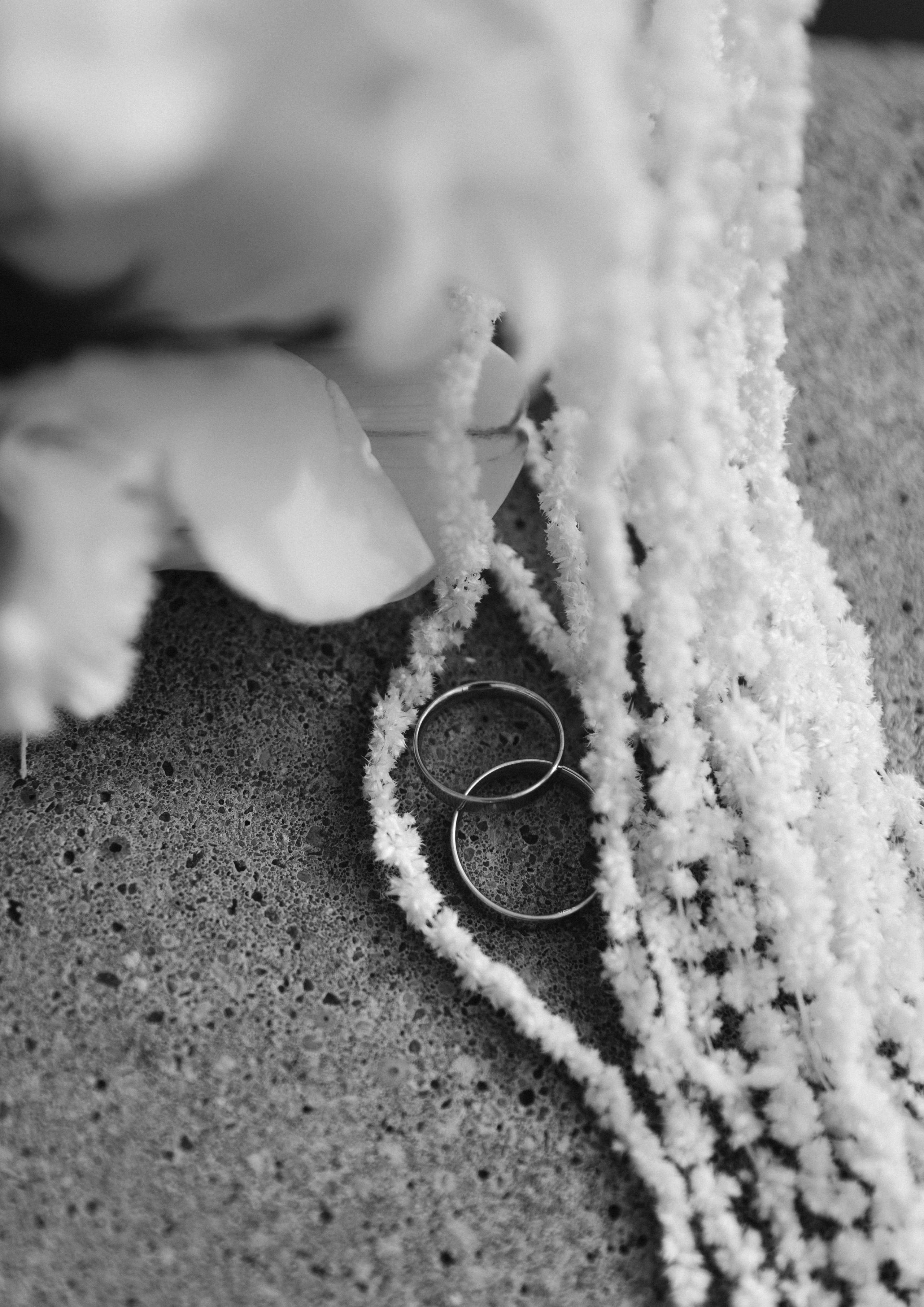 Екатерина и Илья. Свадебный и портретный фотограф в Калининграде и Москве Марк Юдинцев