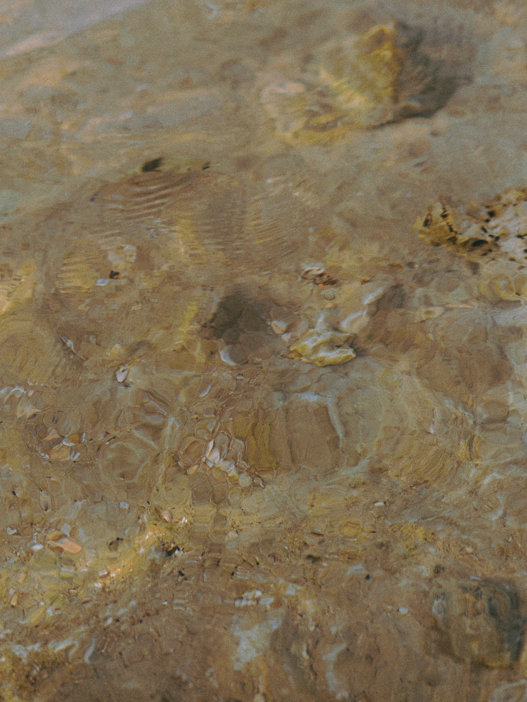 Природа. Jorgis Talè — photographer, kind person, teacher of arts and other mag