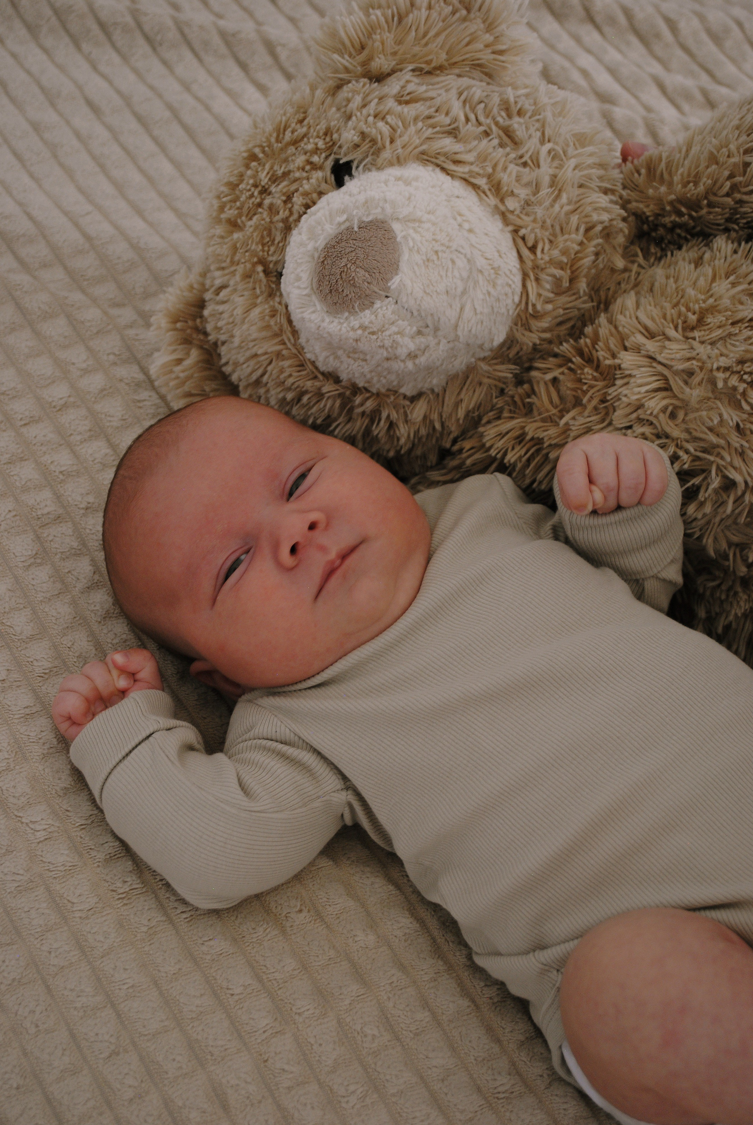 Сладкий малыш. Фотограф Мария Мусаелян