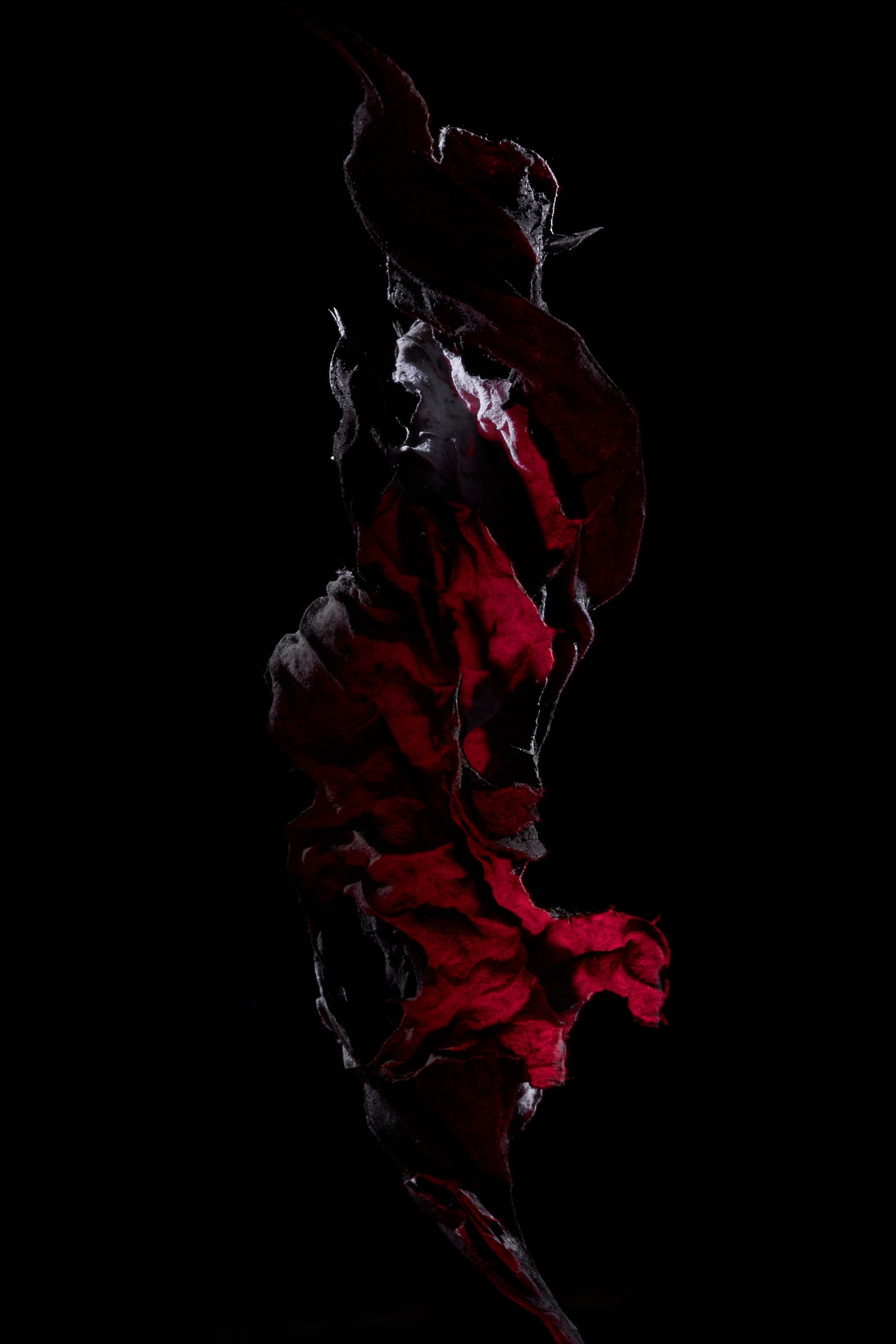 Об авторе. Арт-фотограф во Владивостоке Дмитрий Осипчук